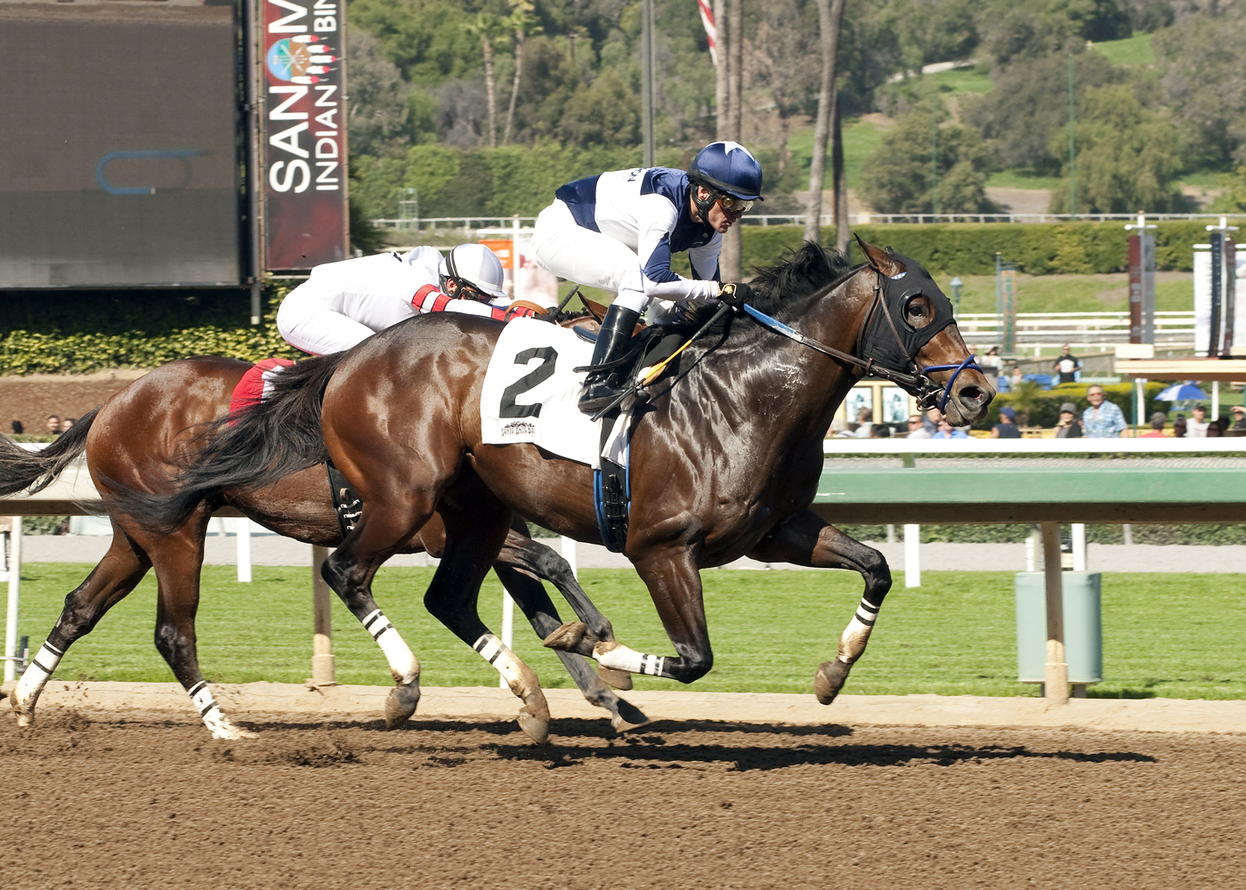 Iron Rob wins the Baffle Stakes