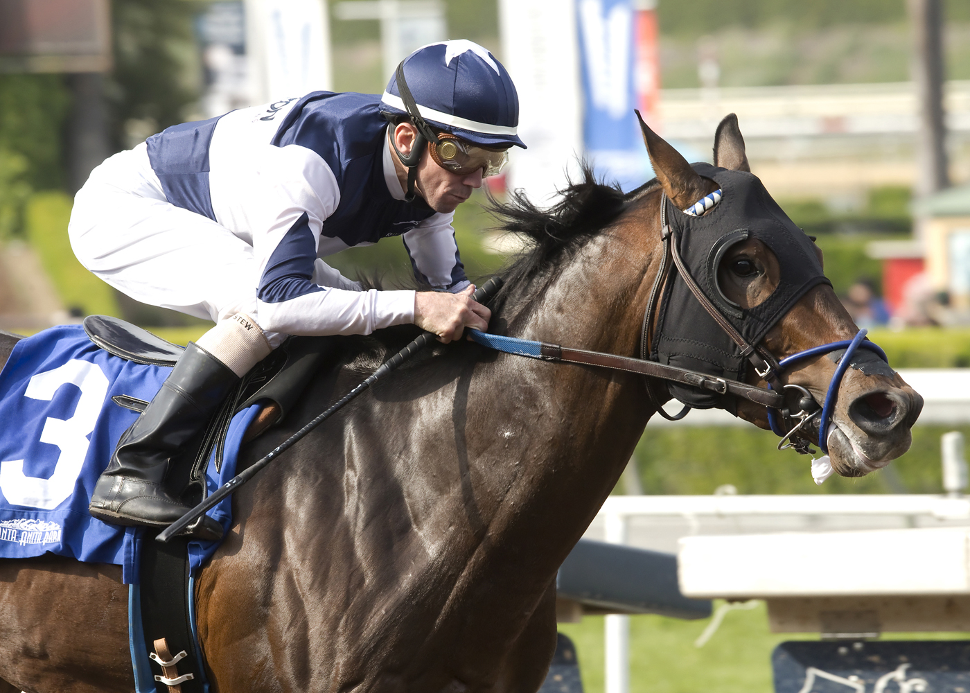 Iron Rob wins the San Pedro