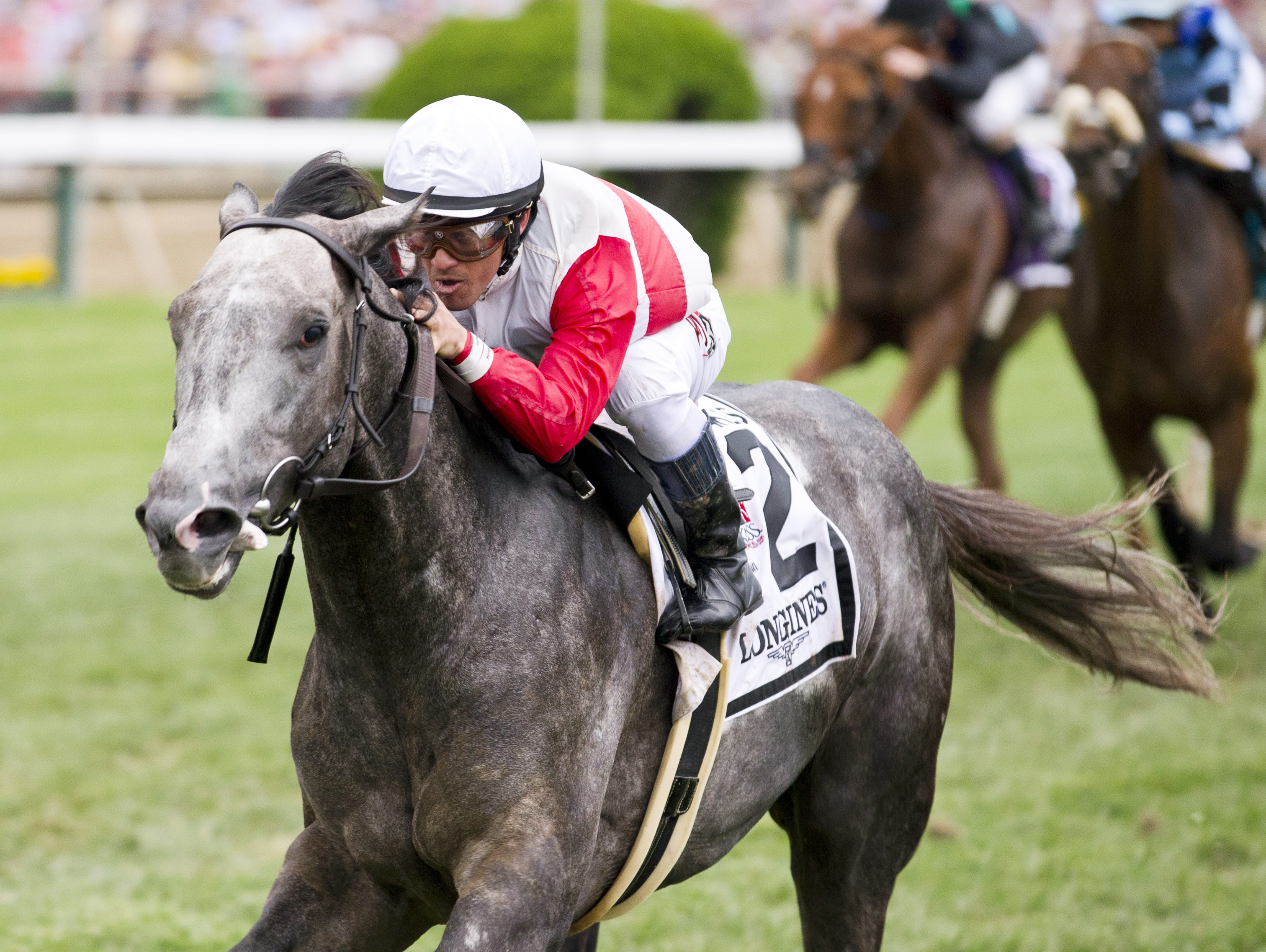 Ironicus wins the Dixie Stakes
