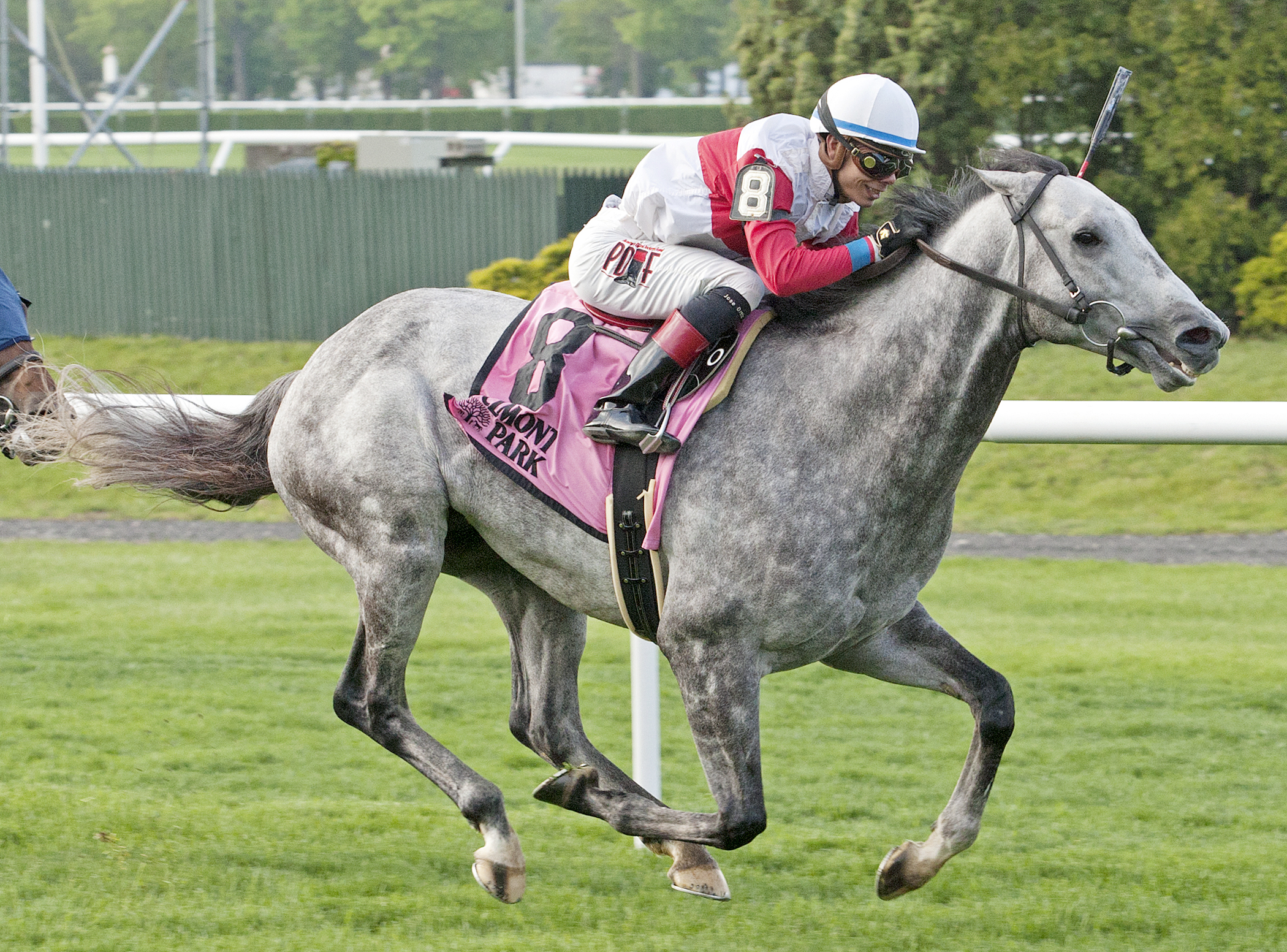 Ironicus wins the Fort Marcy Stakes