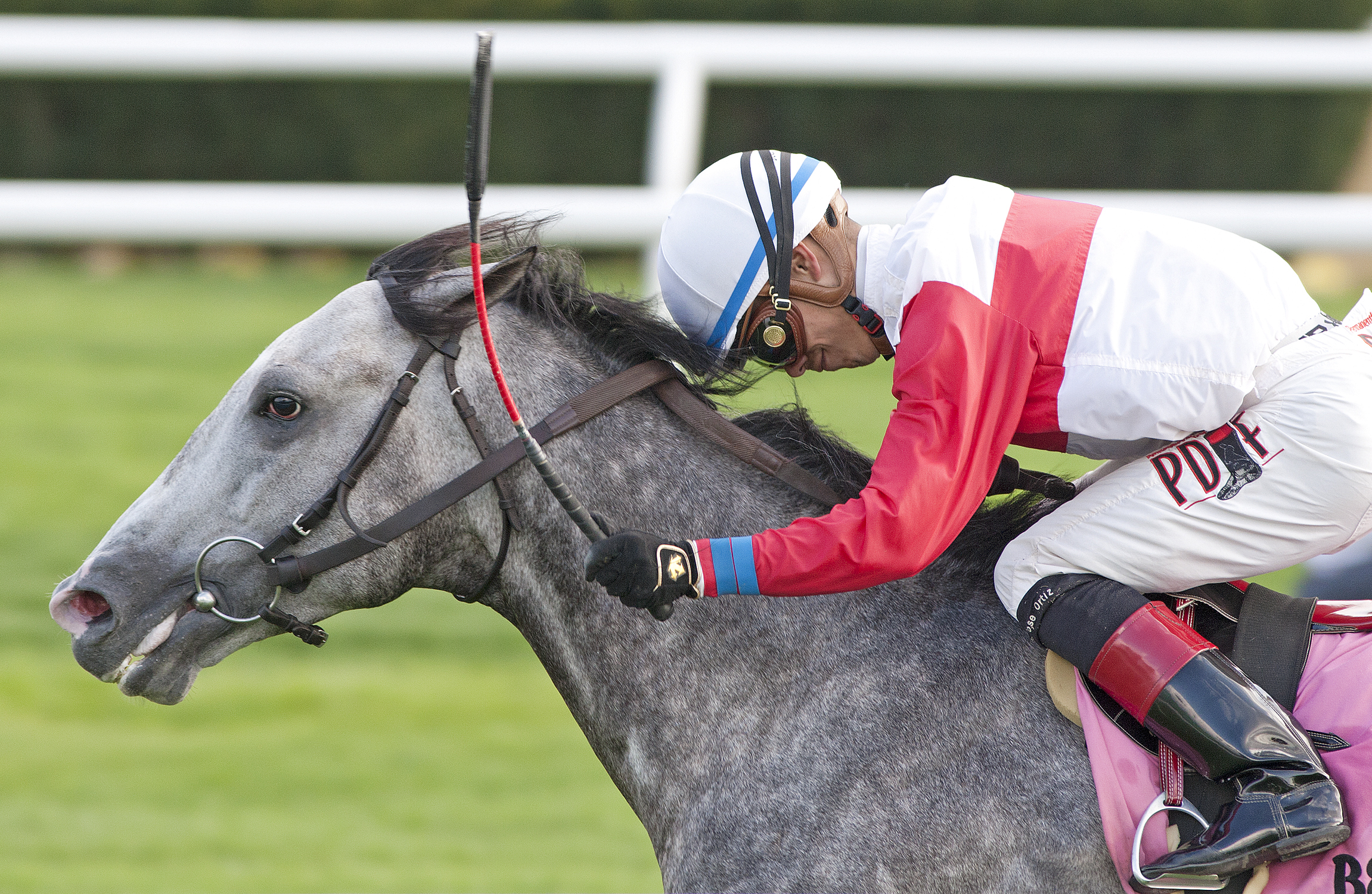 Ironicus wins the Fort Marcy Stakes