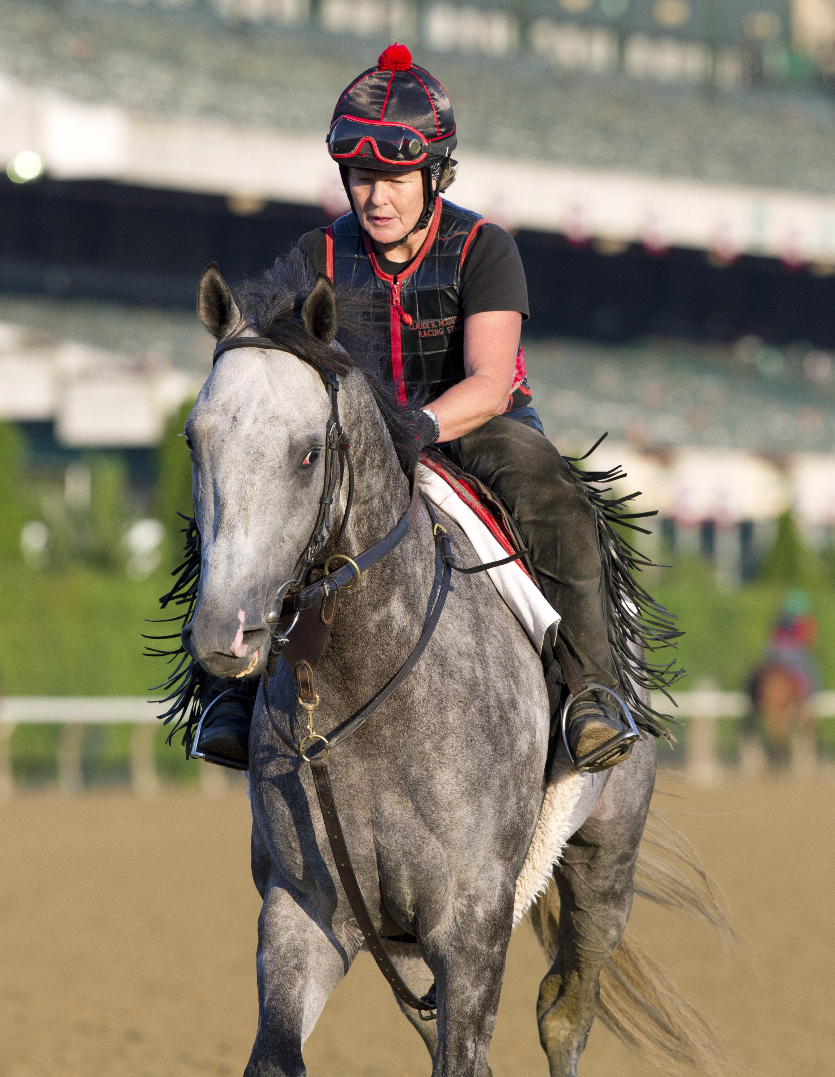 Ironicus at Belmont on June 7