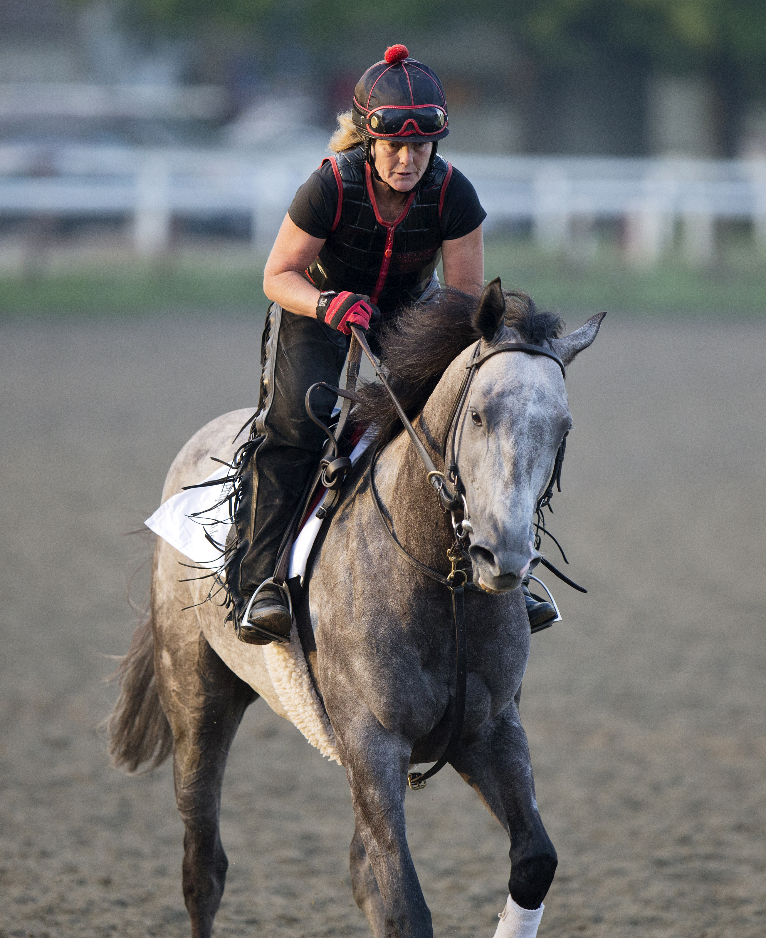 Ironicus at Saratoga on July 29