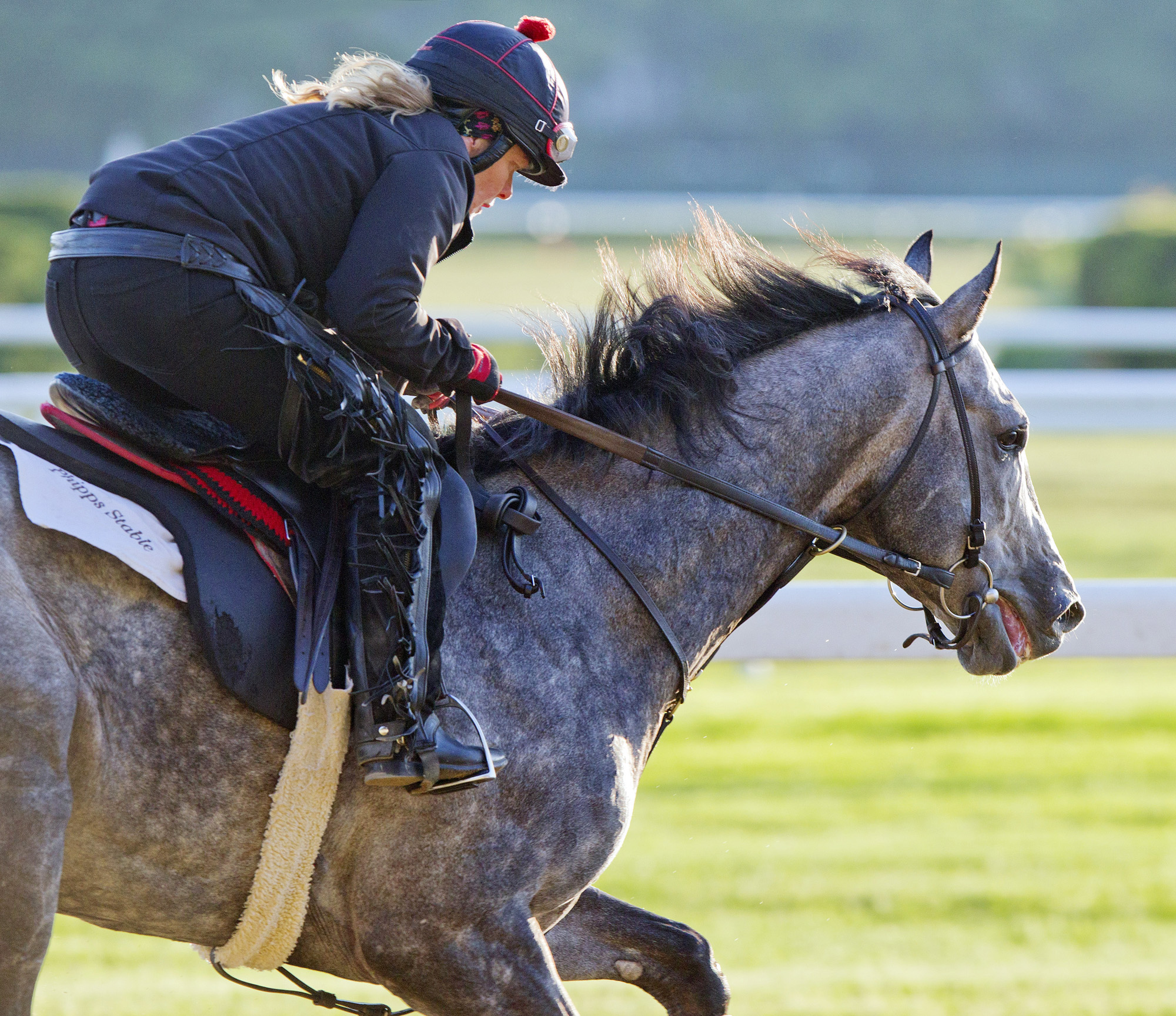 Ironicus trains at Belmont Park on May 22