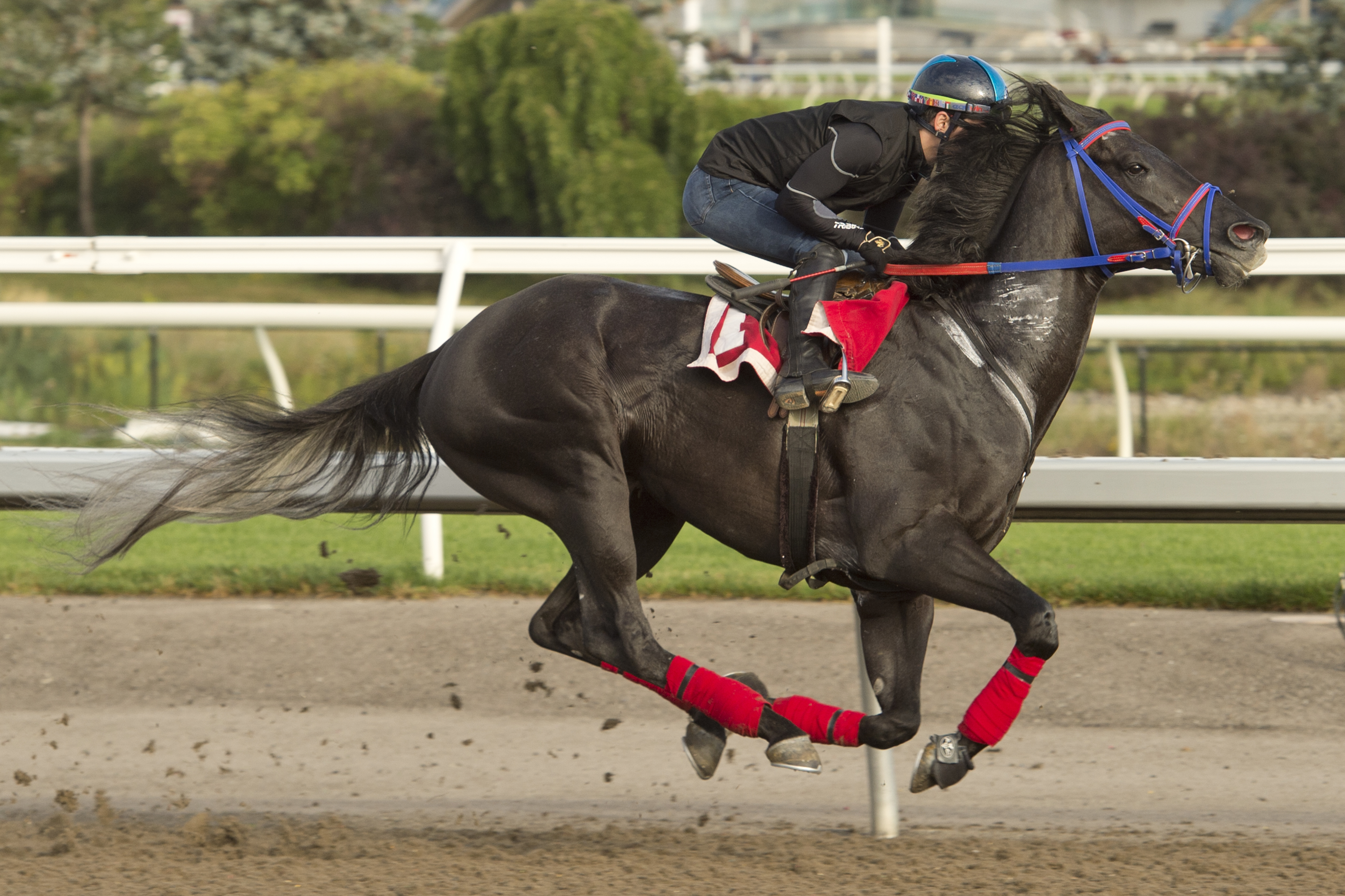 Ironstone works at Woodbine Aug 17 2022