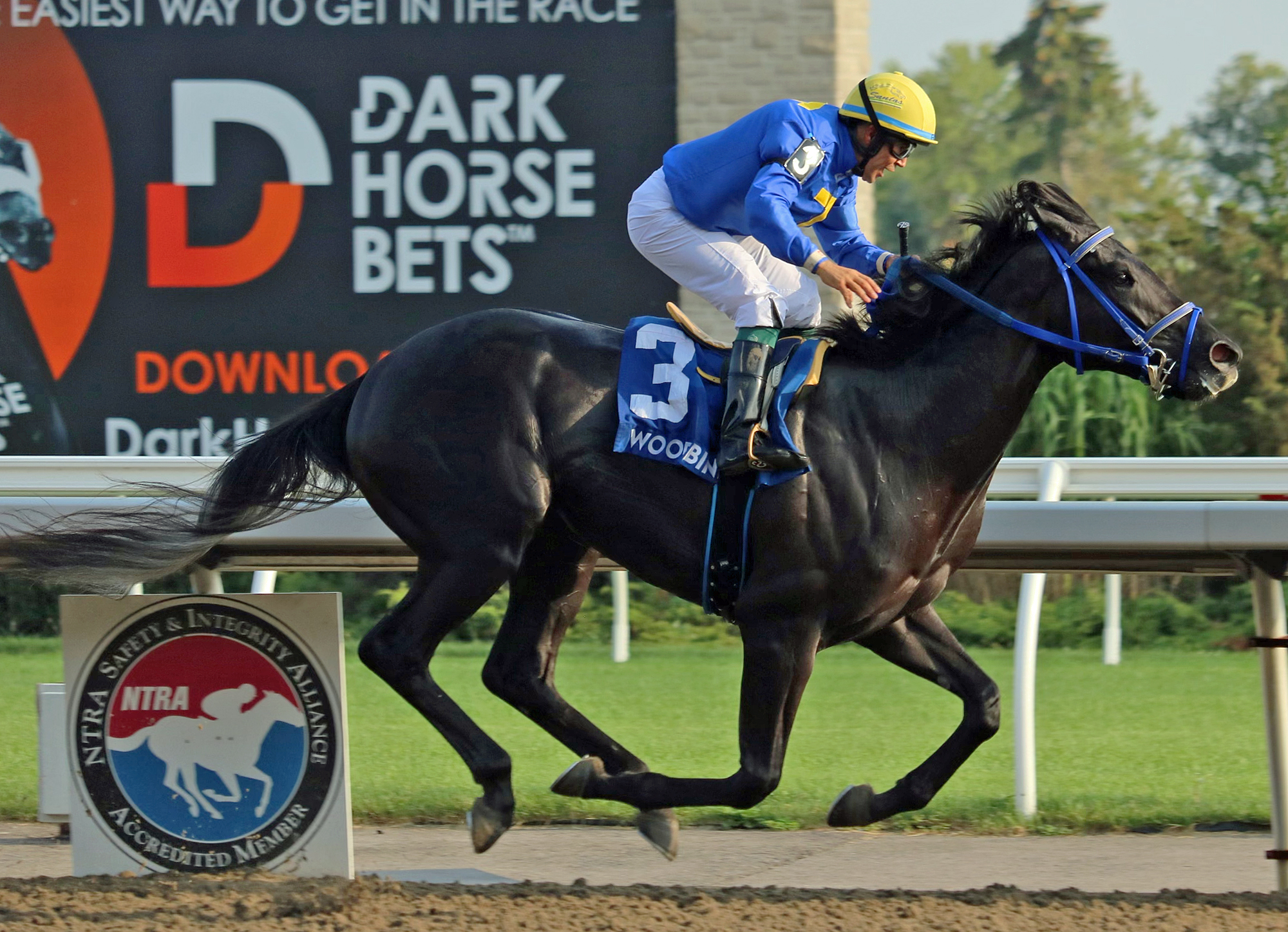 Ironstone wins the 2021 Simcoe Stakes at Woodbine