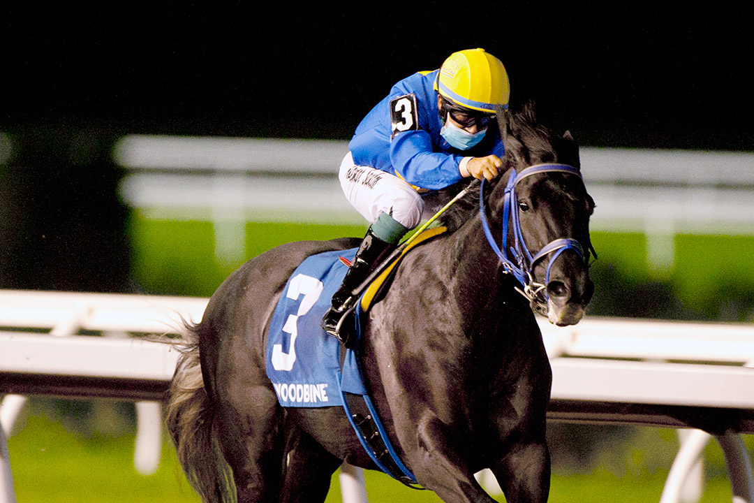 Ironstone wins the 2021 Clarendon Stakes at Woodbine Racetrack