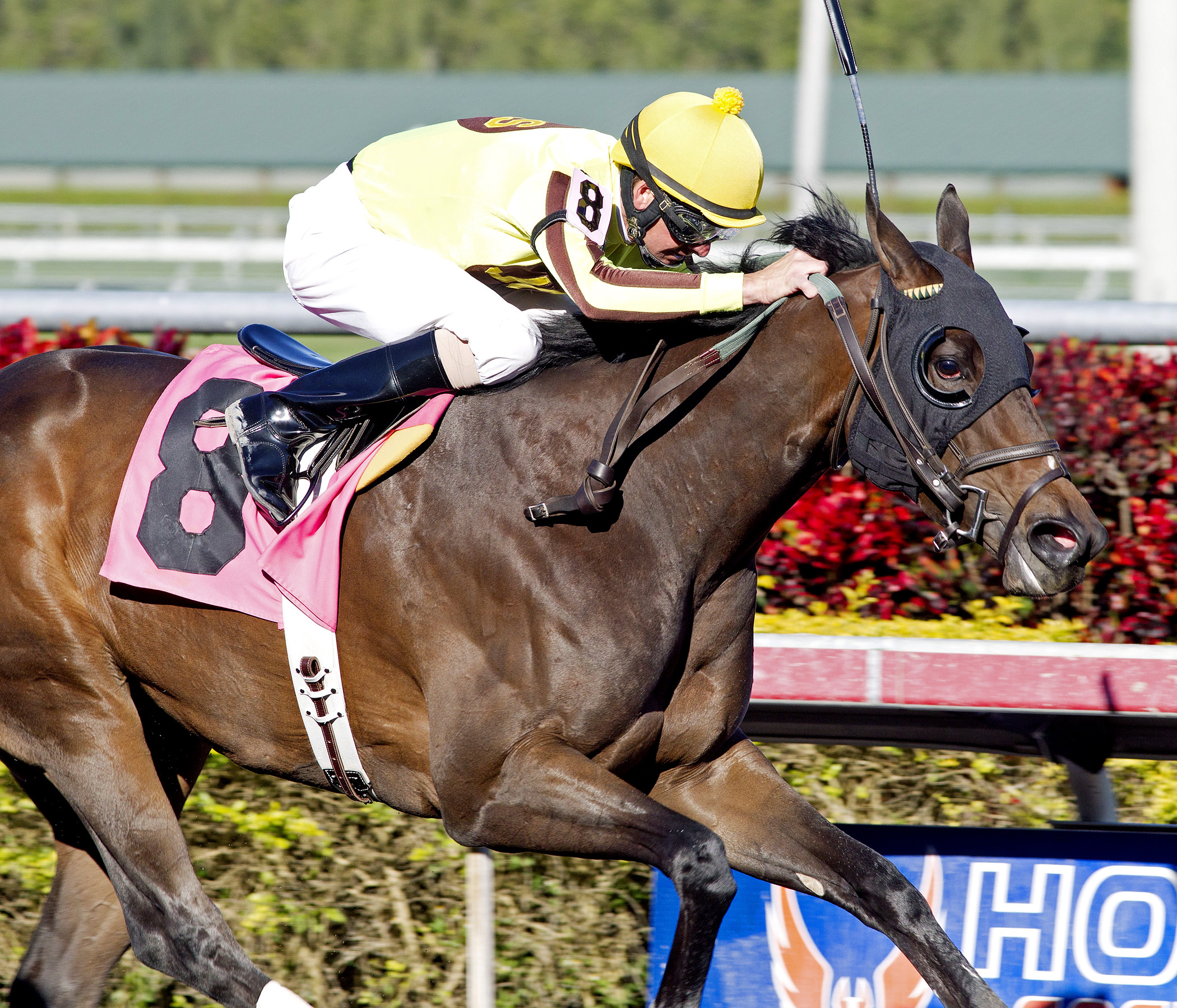 Iroquois Girl finishes second in a maiden race