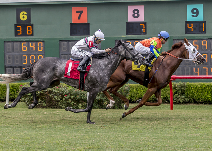 Is Too wins the 2019 Louisiana Cup Distaff at Louisiana Downs