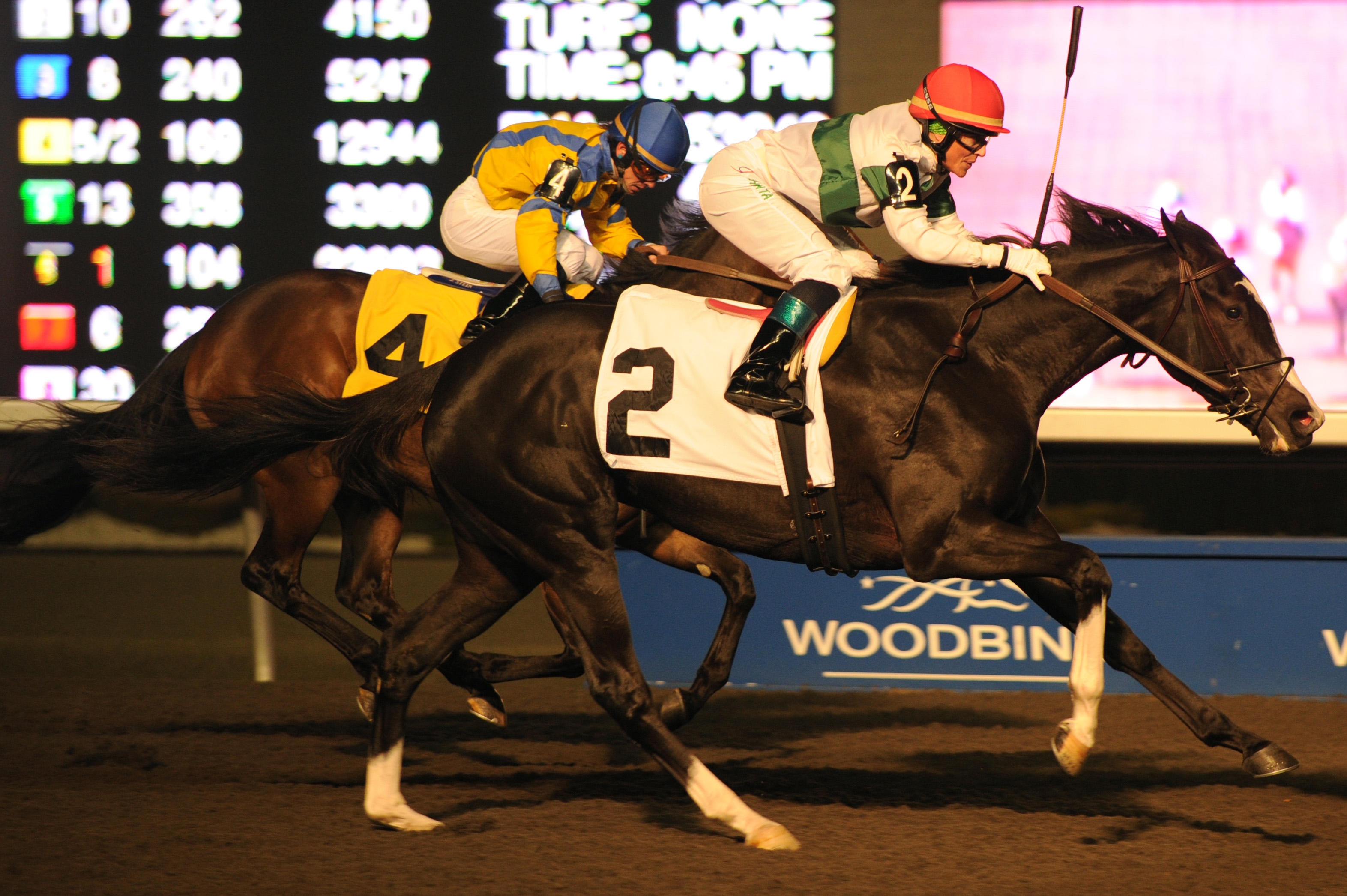 Isabella Bay wins South Ocean