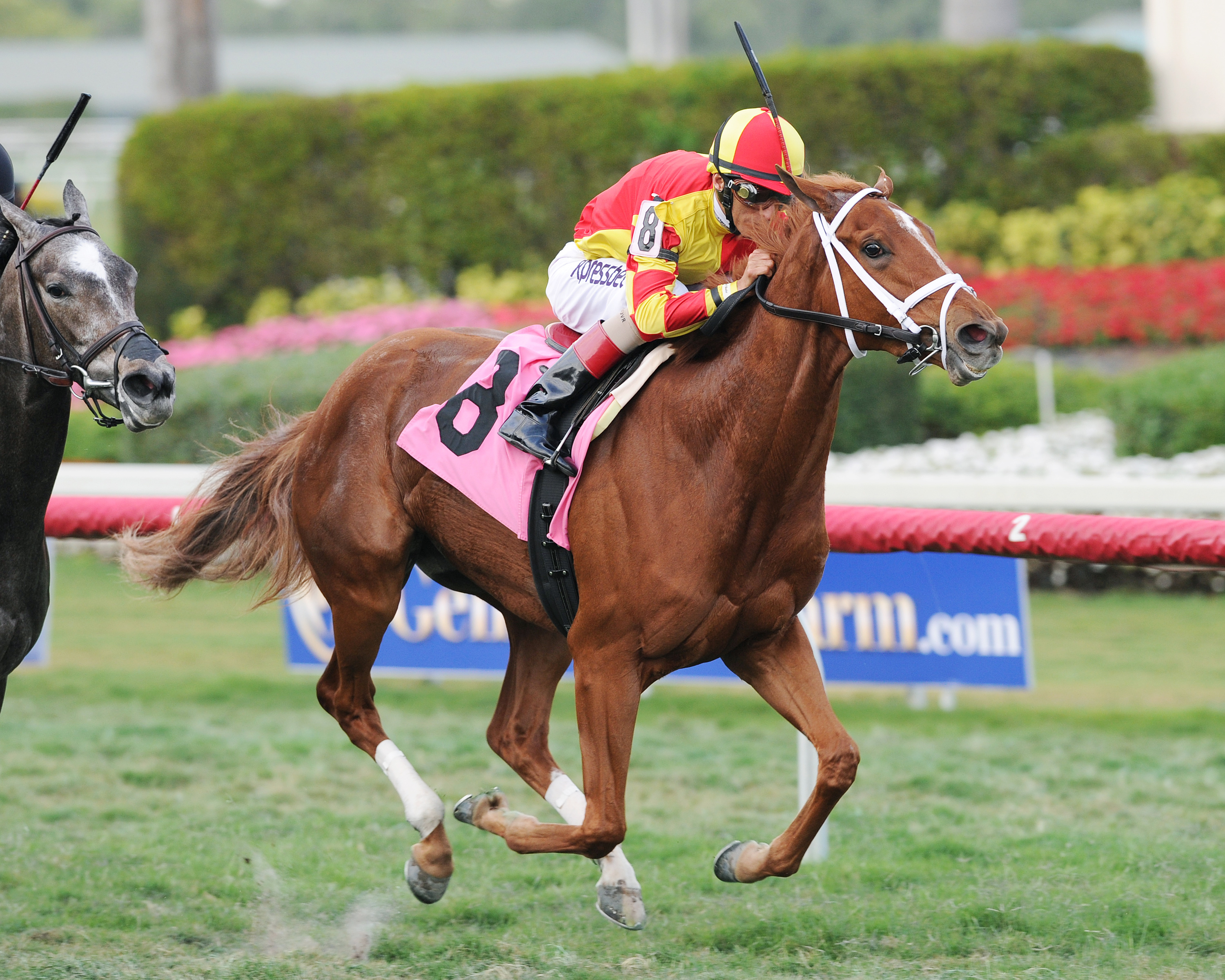 Isabella Sings wins an allowance race