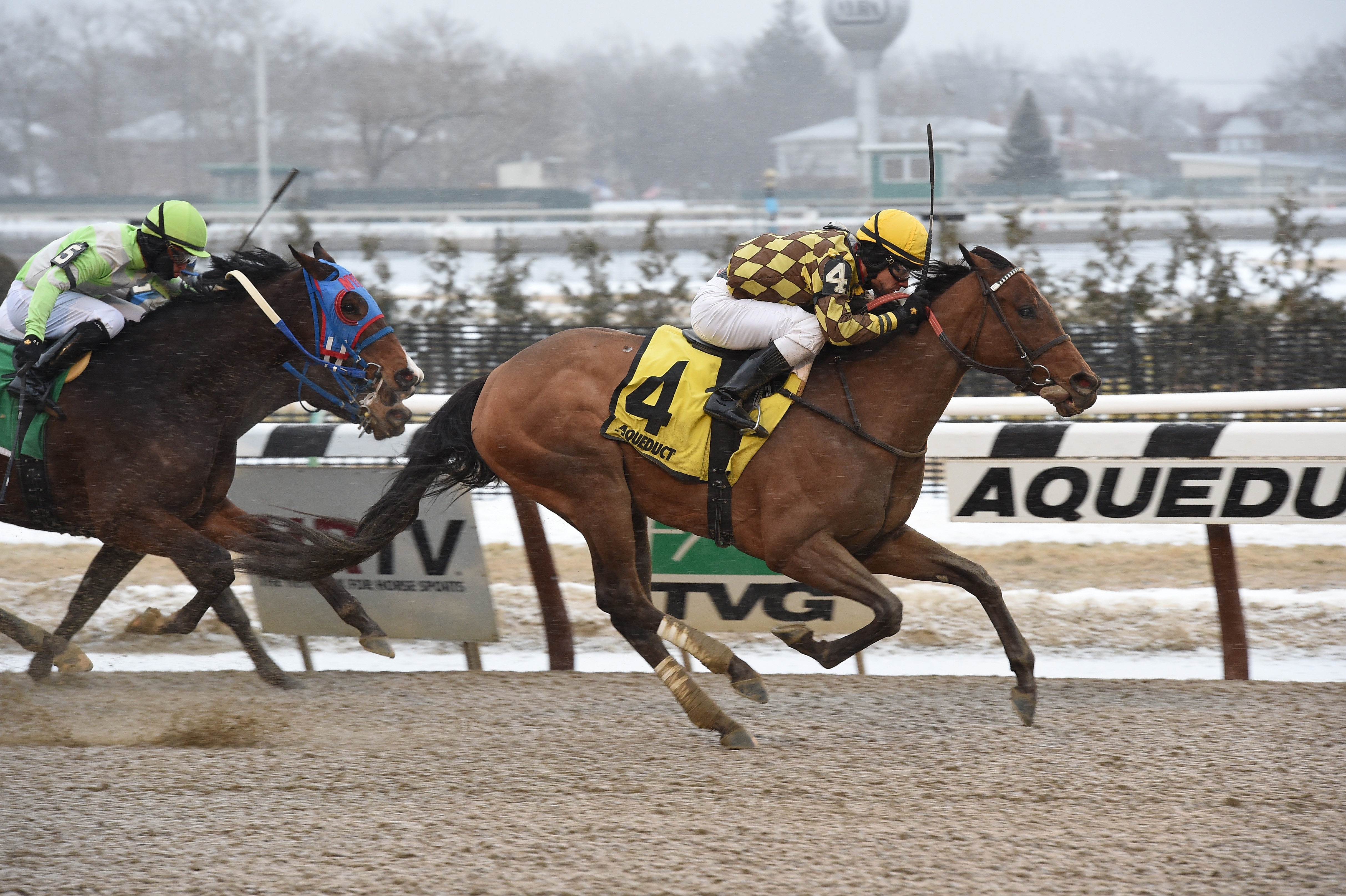Isabelle 2-14-2015