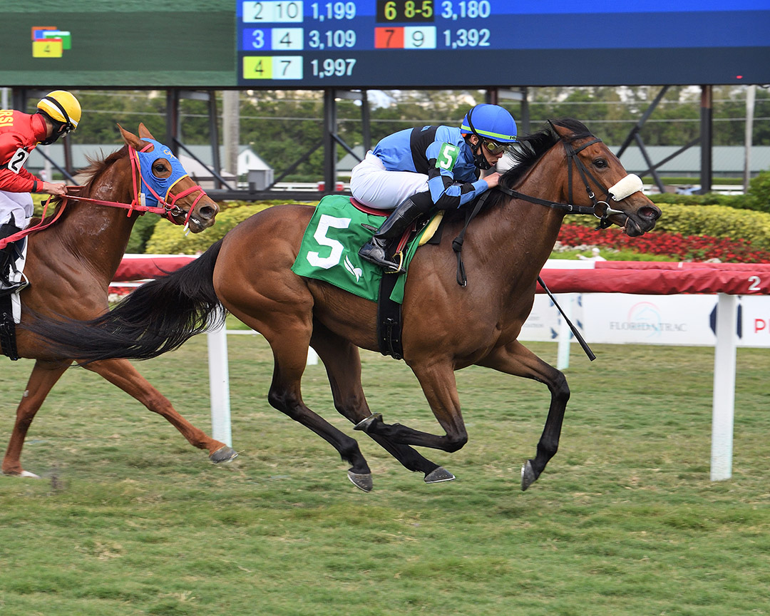 Isadorable Aida wins a March 10 claiming race at Gulfstream Park