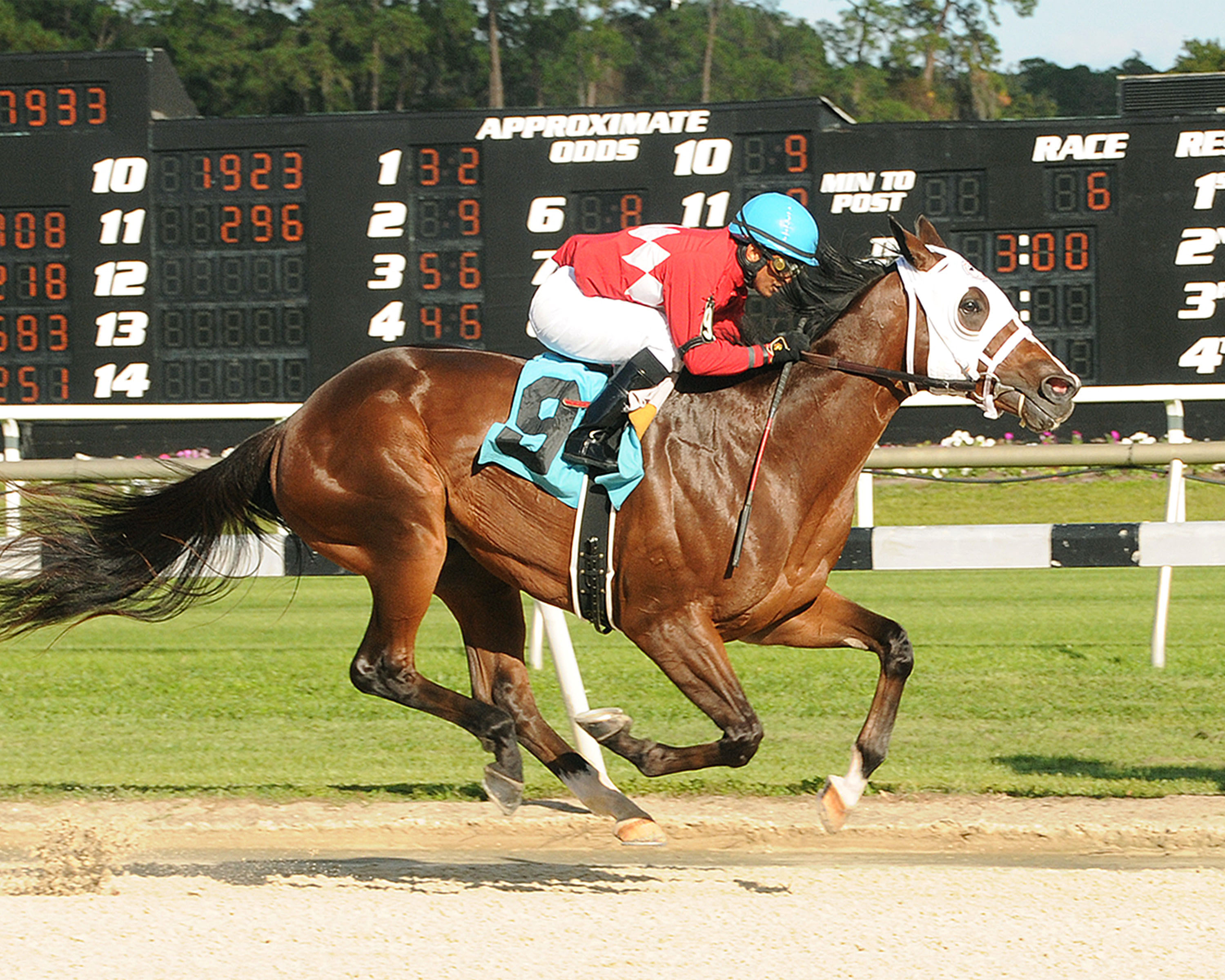 Ishaq wins a maiden race