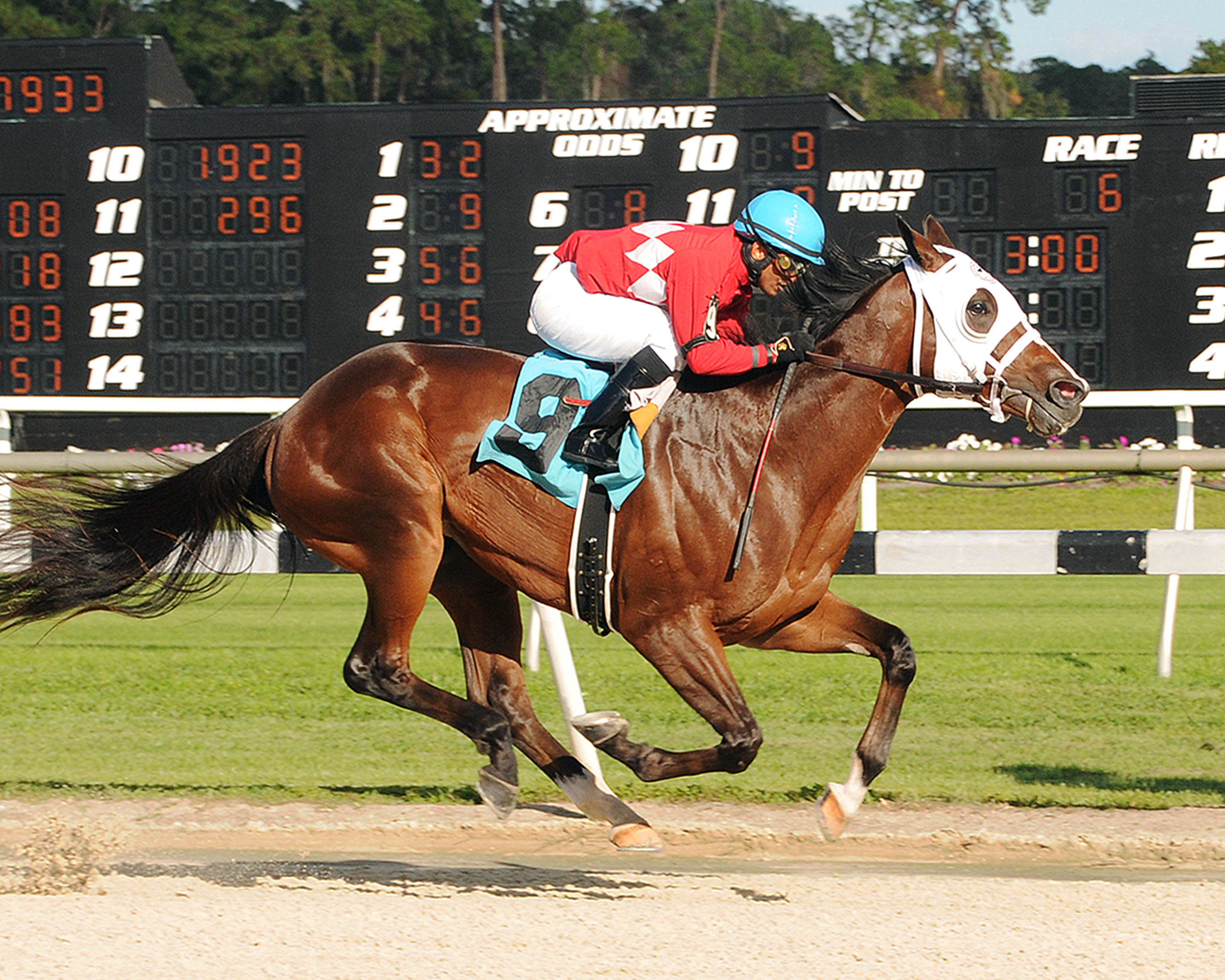 Ishaq wins a maiden race