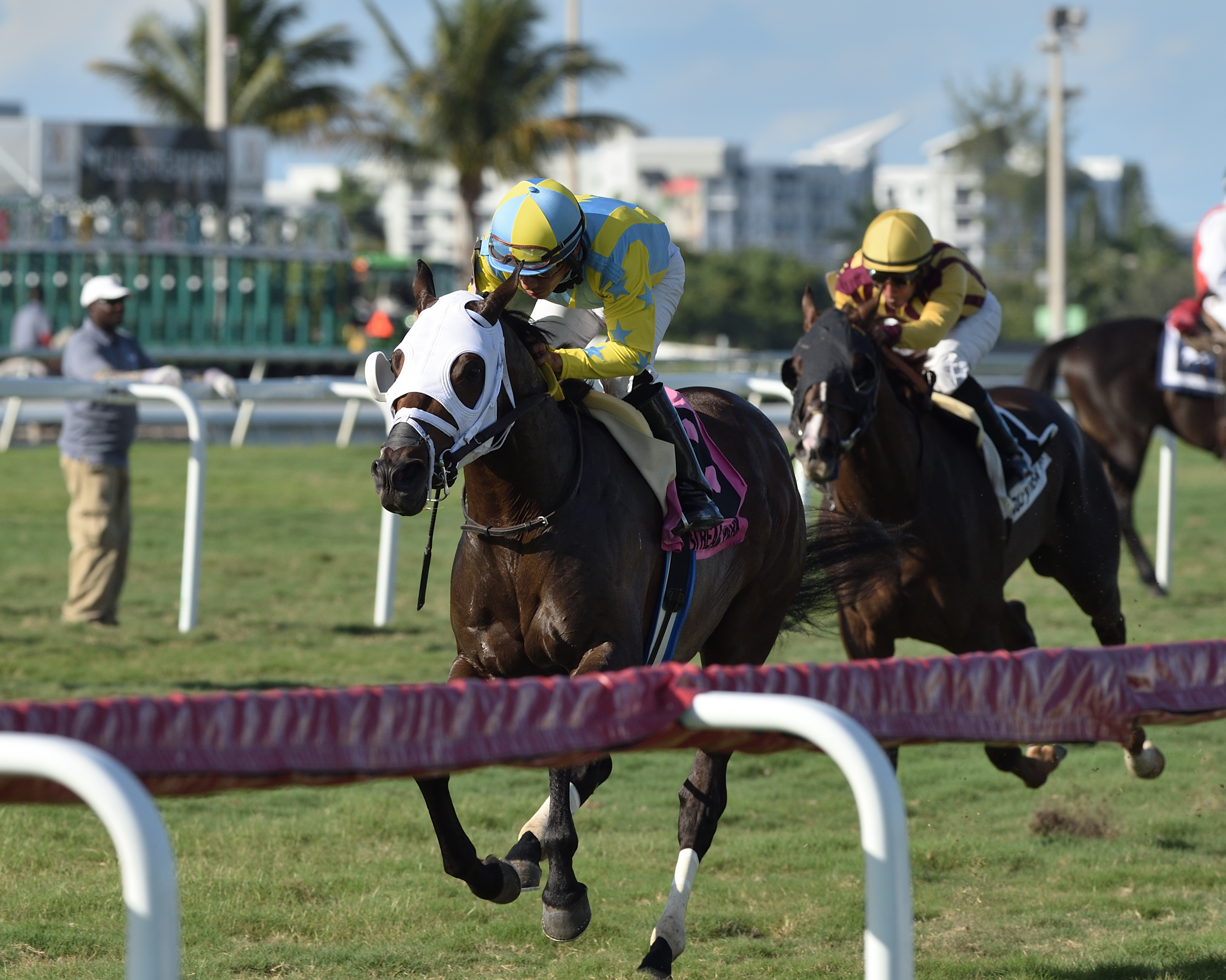Island Commish wins the 2020 Kitten-s Joy