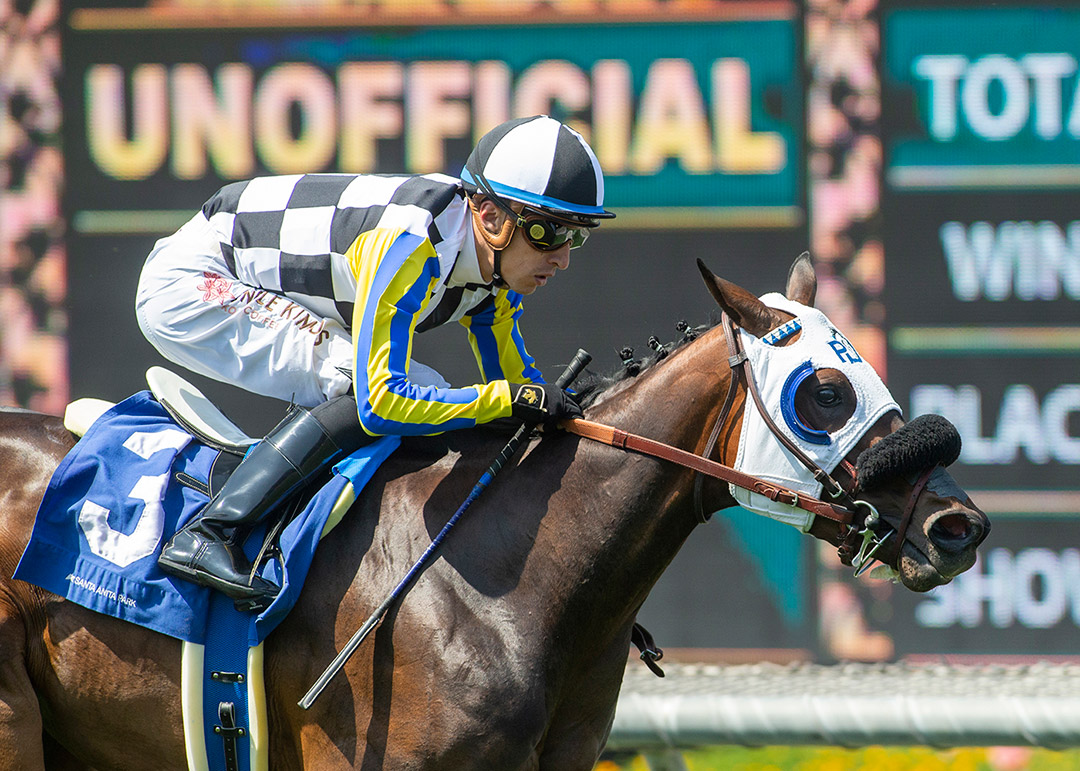 FOLO - Island of Love wins the Senorita Stakes at Santa Anita Park