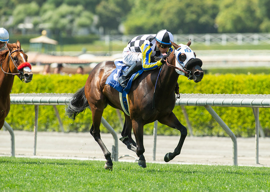 RECAP - Island of Love wins the 2022 Senorita Stakes at Santa Anita Park