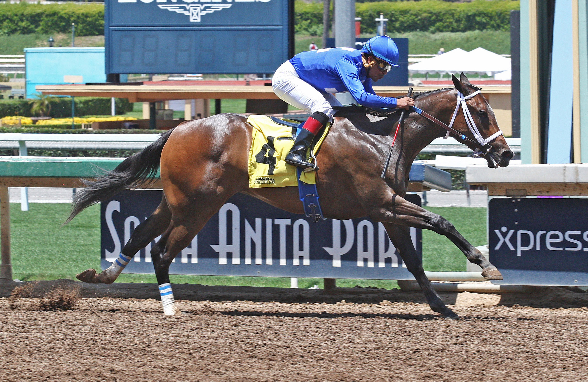Ismelucky wins a May 18 maiden race