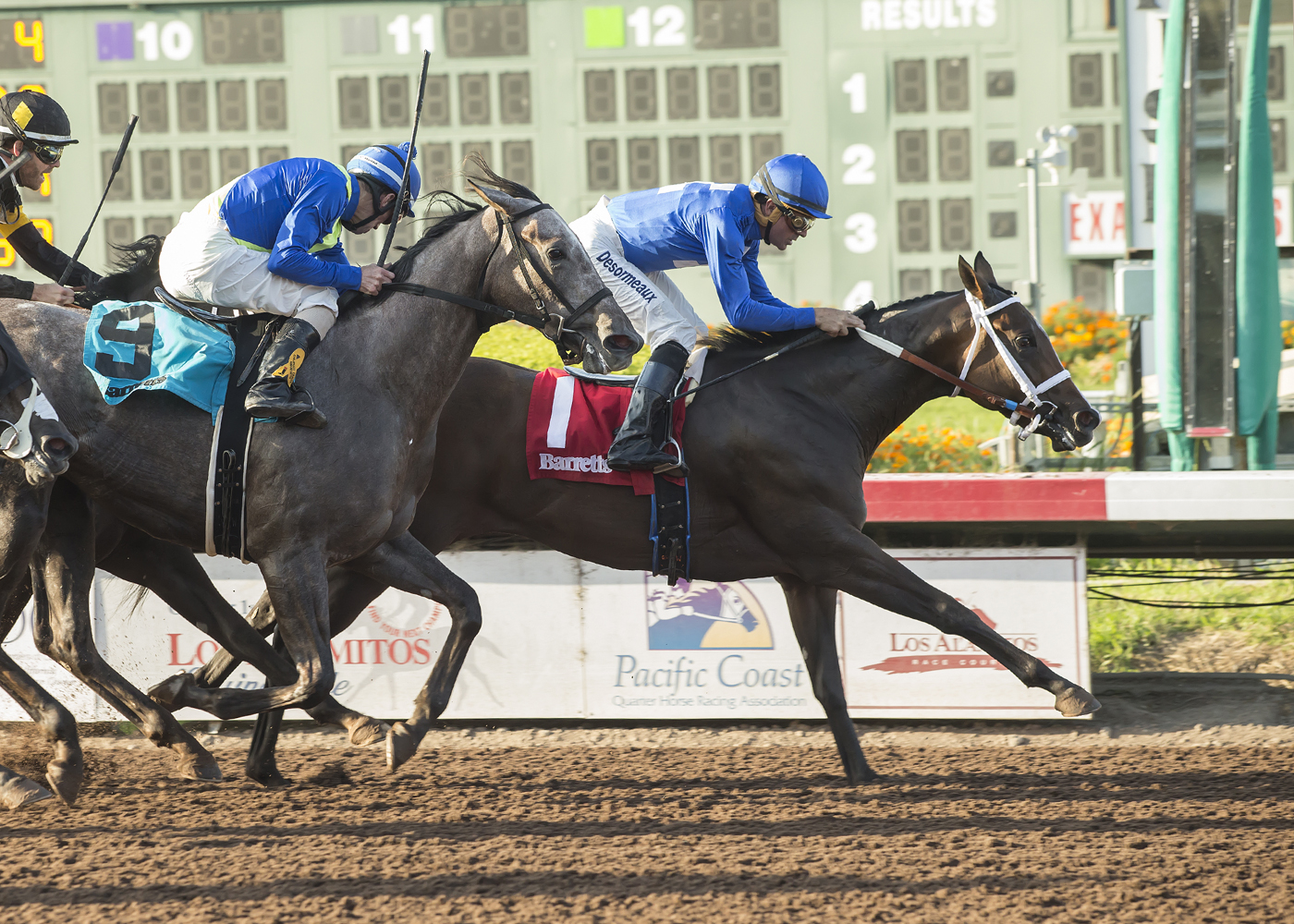 Ismelucky wins the 2017 Barretts Debutante
