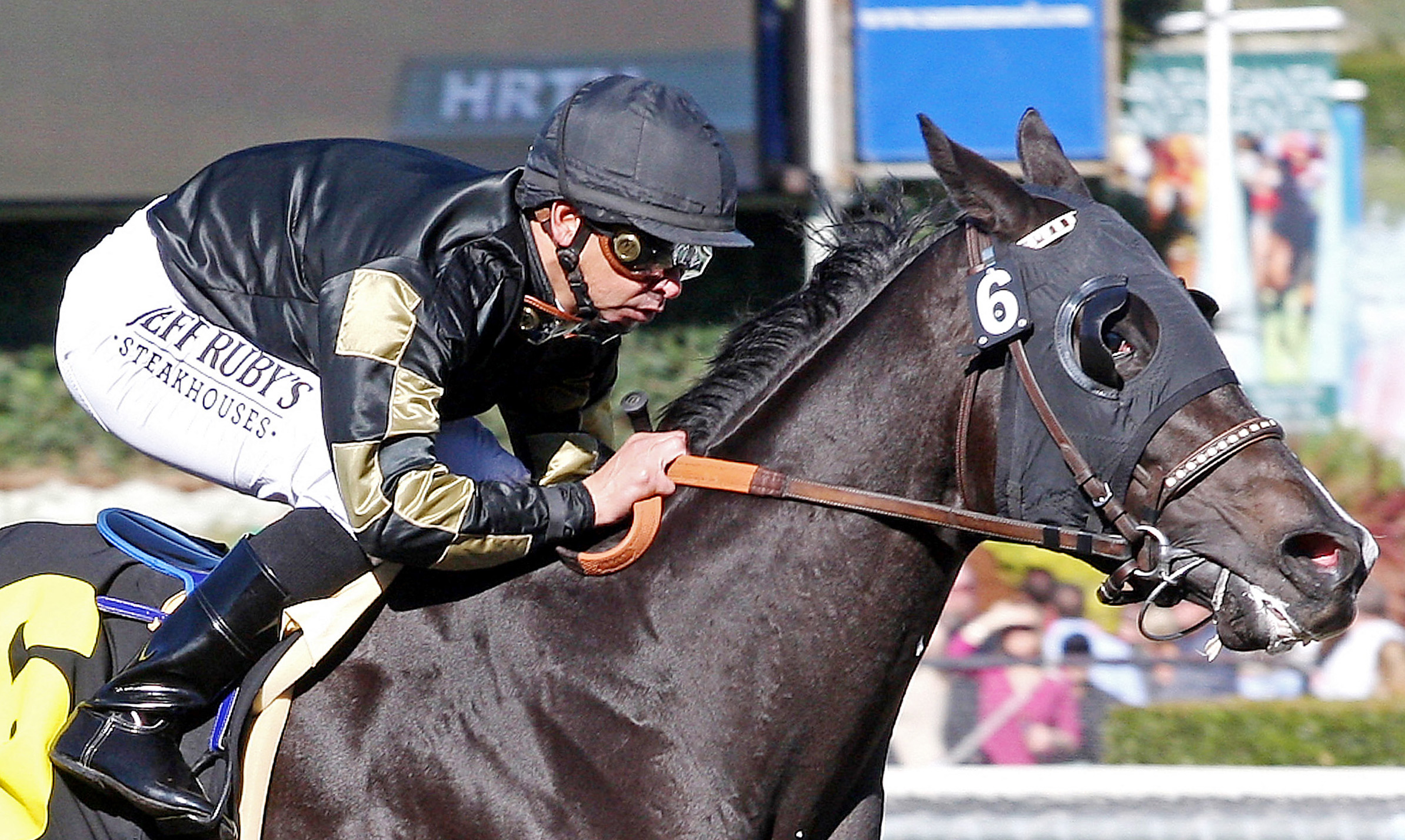 Ismene, 2011 Cal Breeders' Champion Stakes