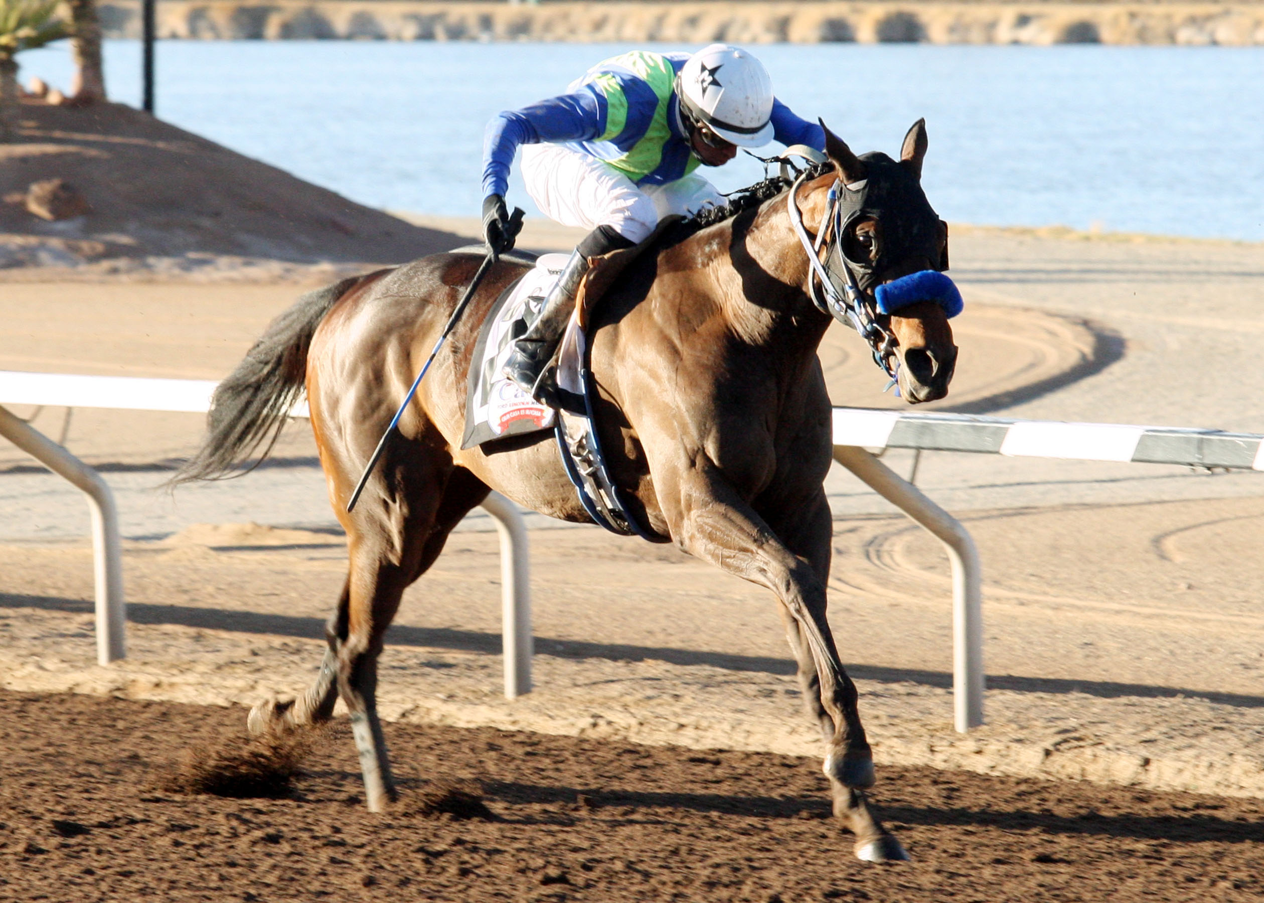 Isn't He Clever/Borderland Derby