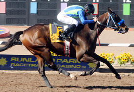 Isn't He Clever Sunland Park Handicap 4-13-14