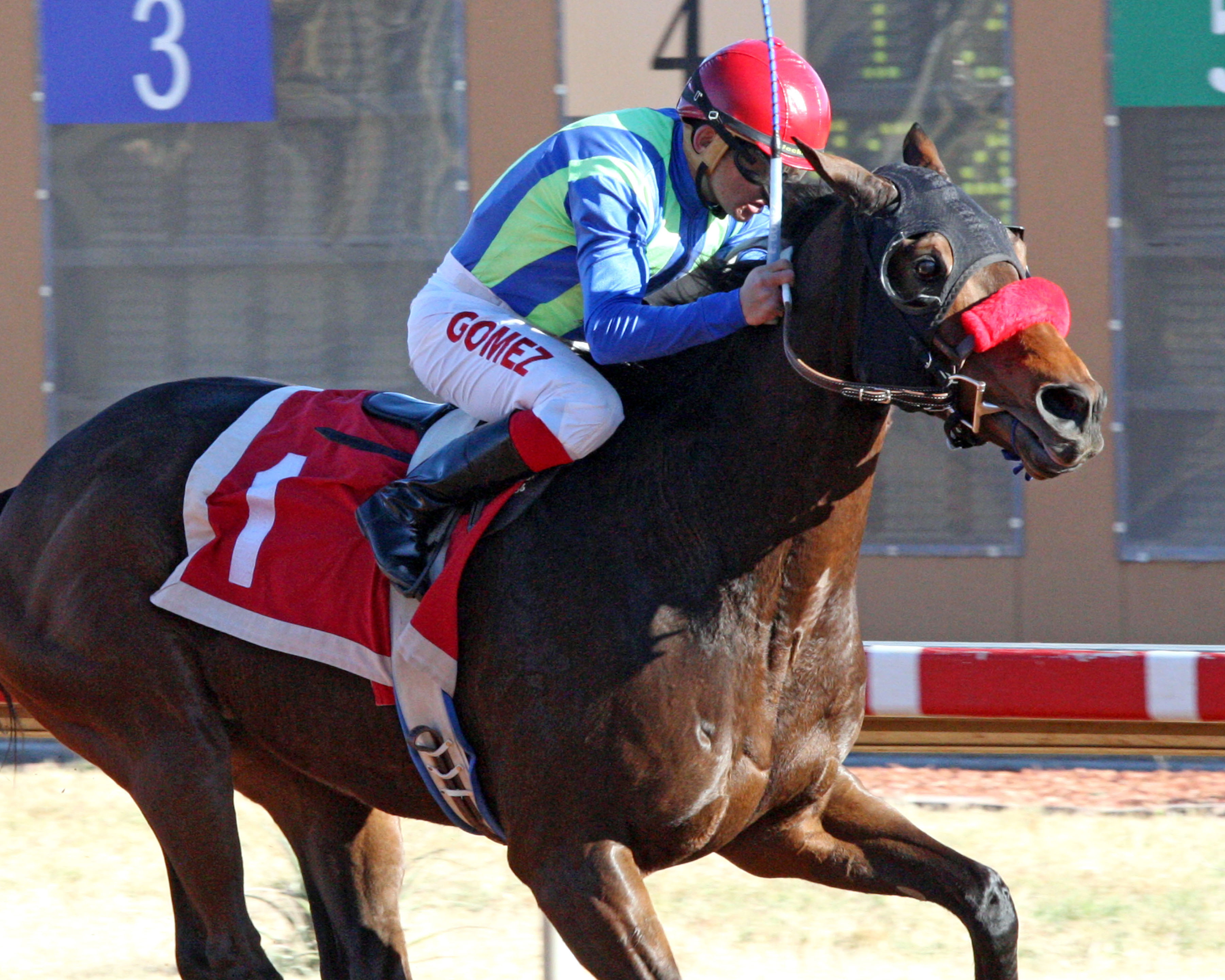 Isn't He Clever wins the Zia Park Distance Championship
