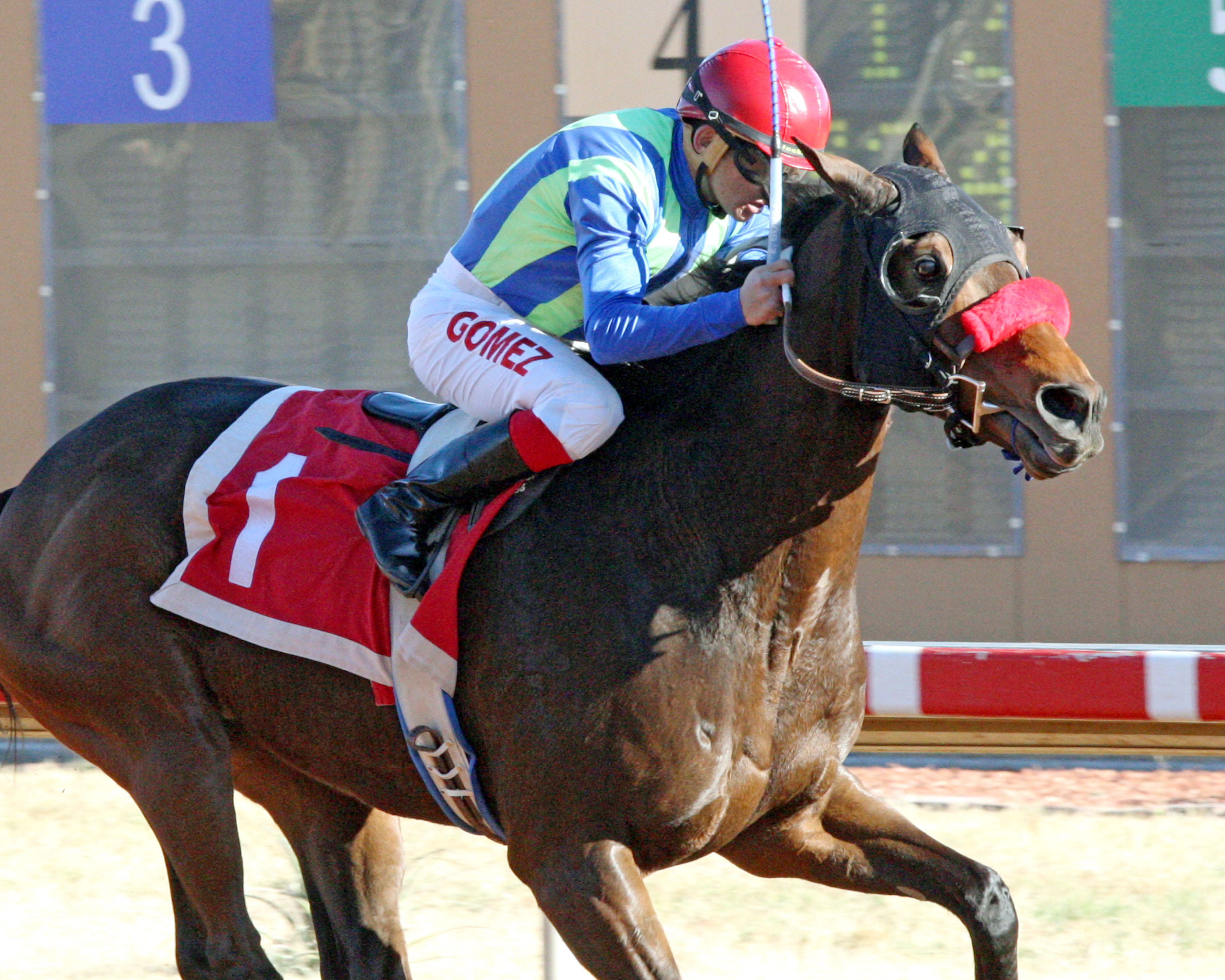 Isn't He Clever wins the Zia Park Distance Championship Handicap