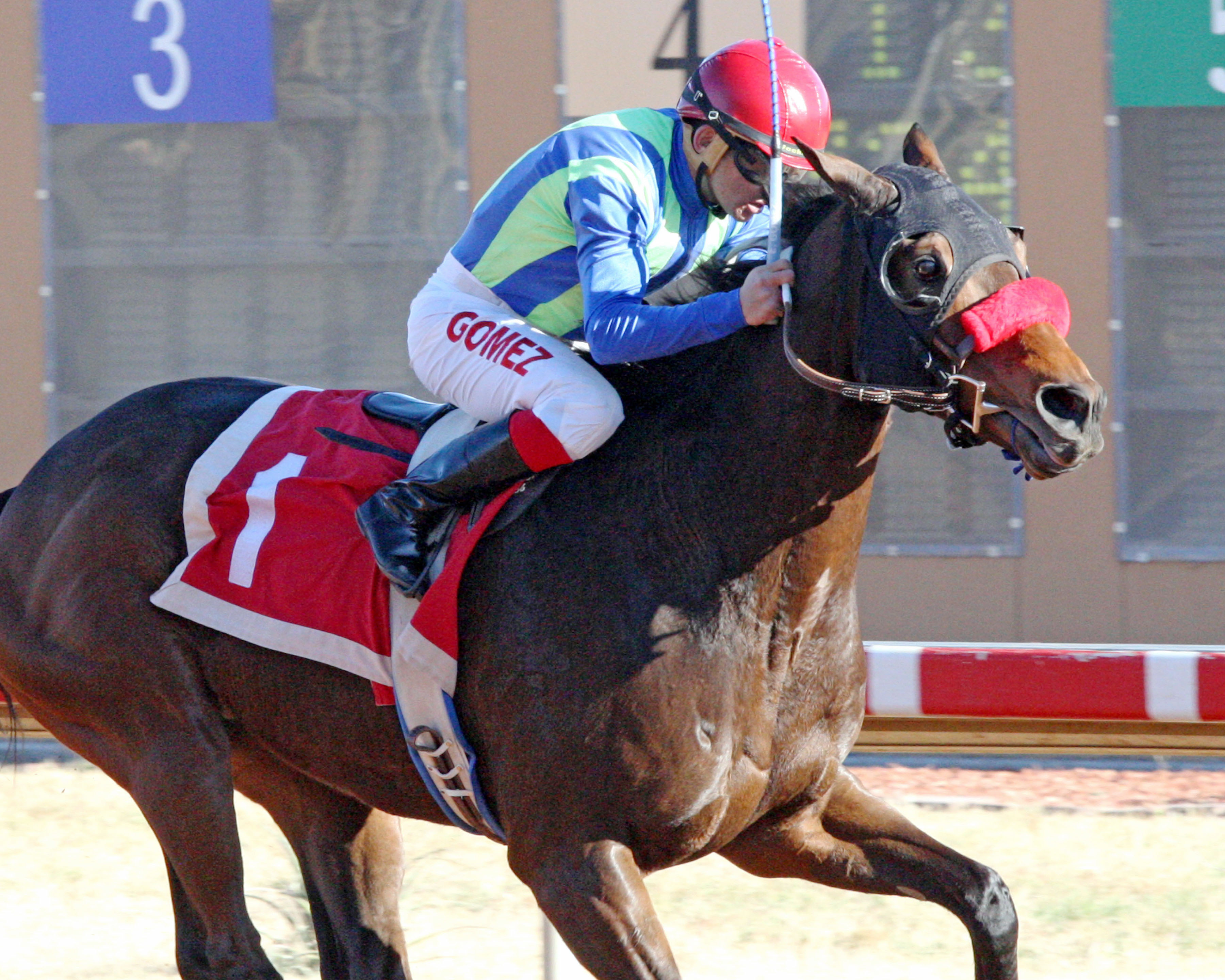 Isn't He Clever wins the Zia Park Distance Championship Handicap
