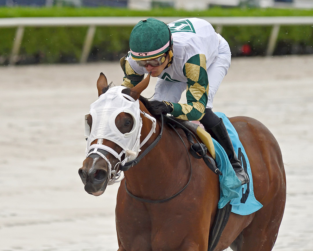 Isolate wins a Sept. 2 allowance at Gulfstream Park