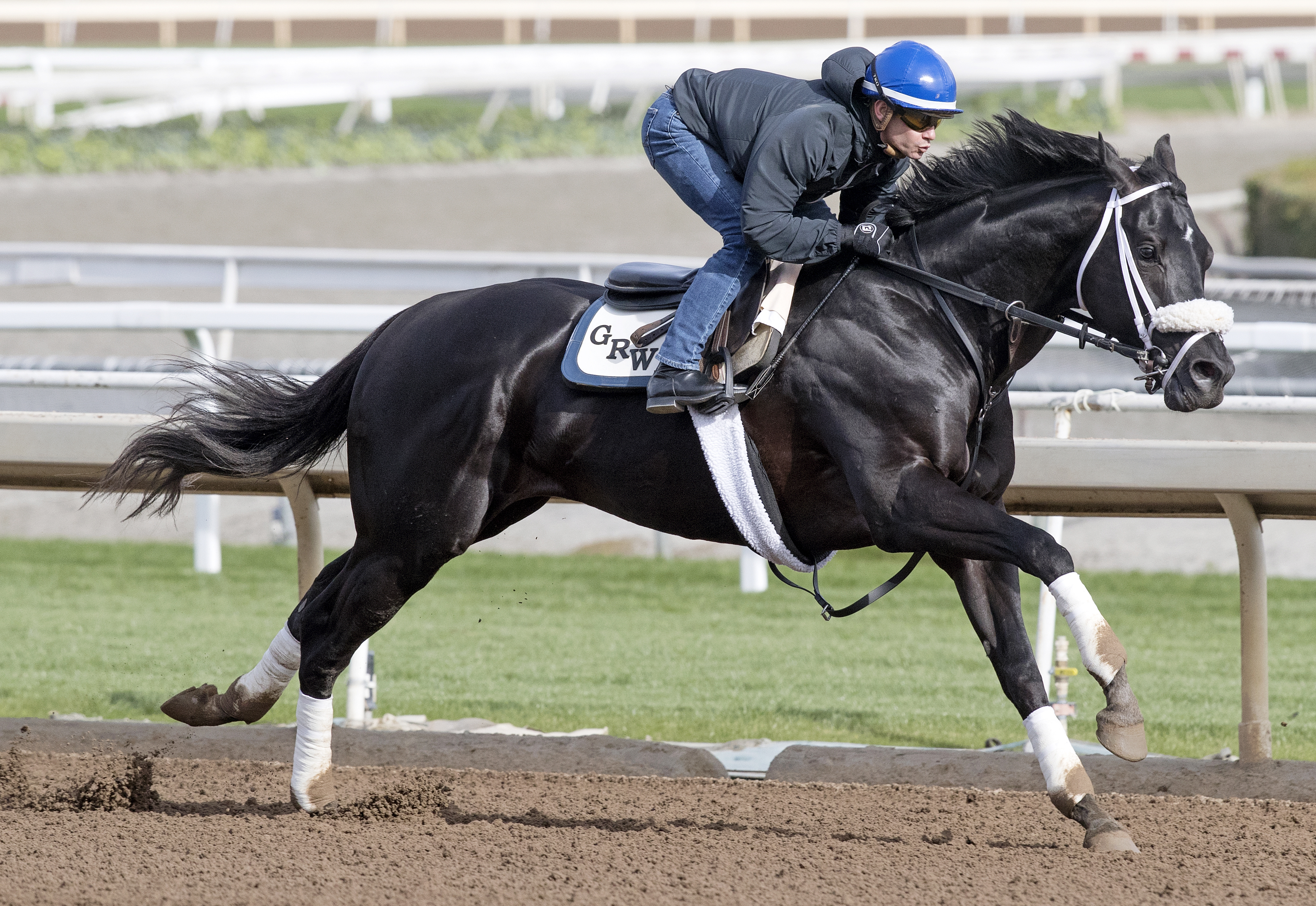 Isotherm trains at Santa Anita in March 2017