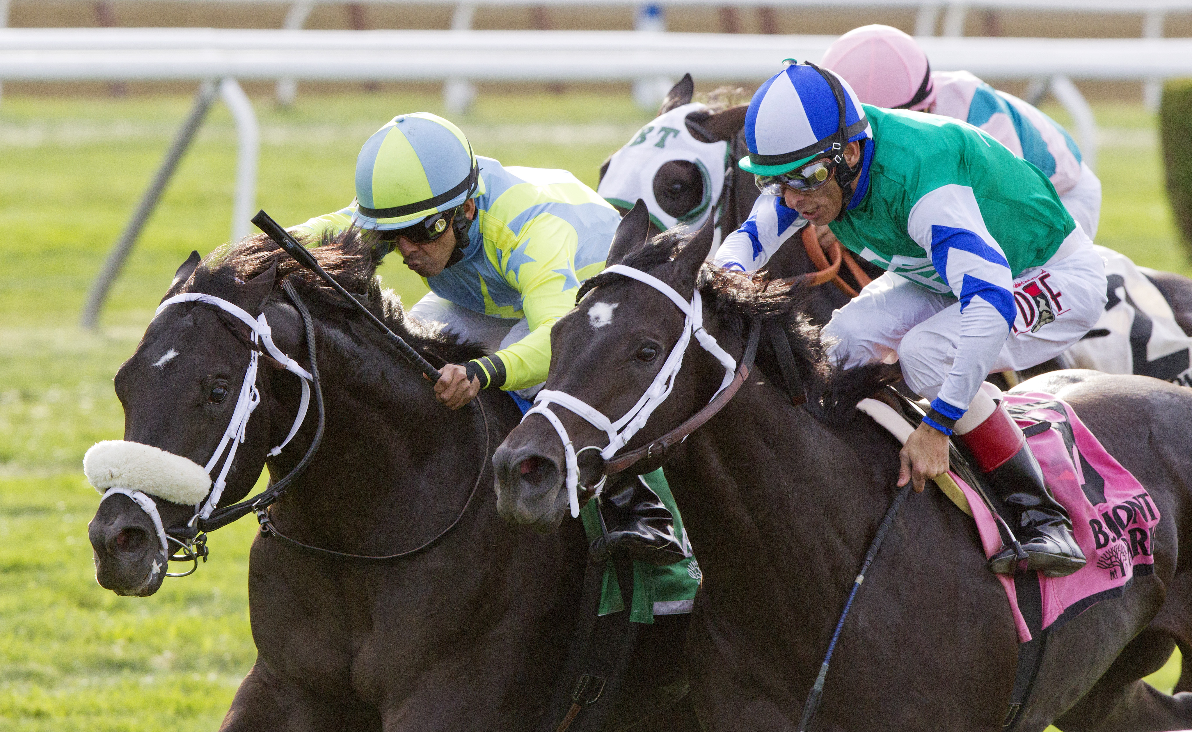 Isotherm