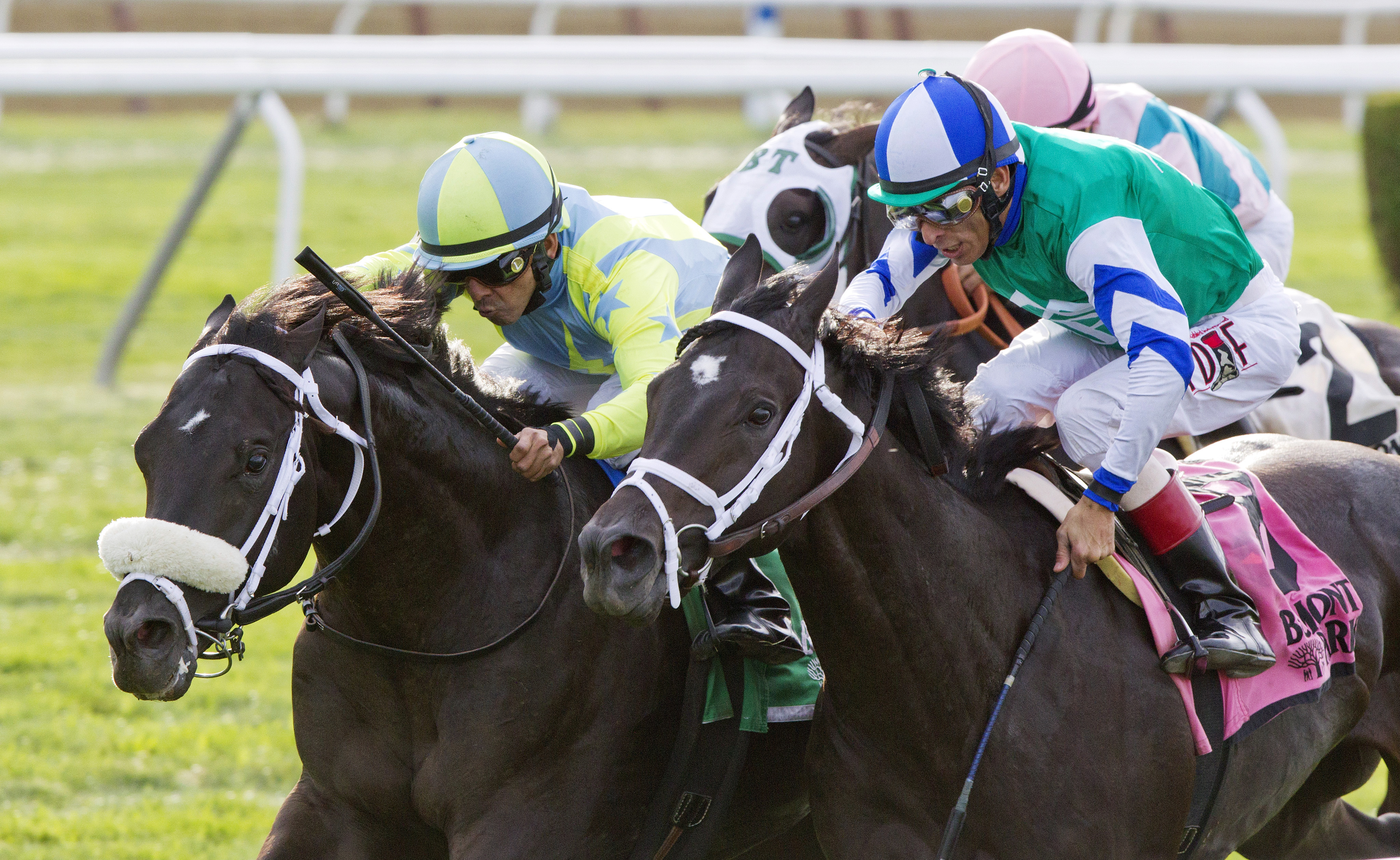 Isotherm wins the Pilgrim Stakes
