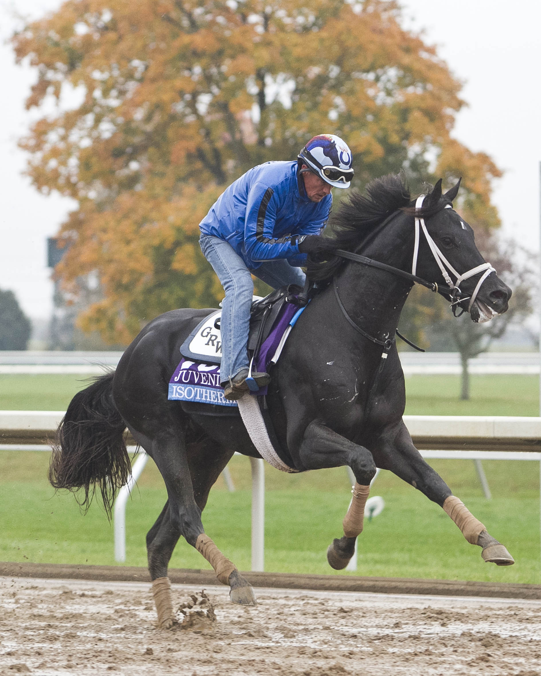Isotherm