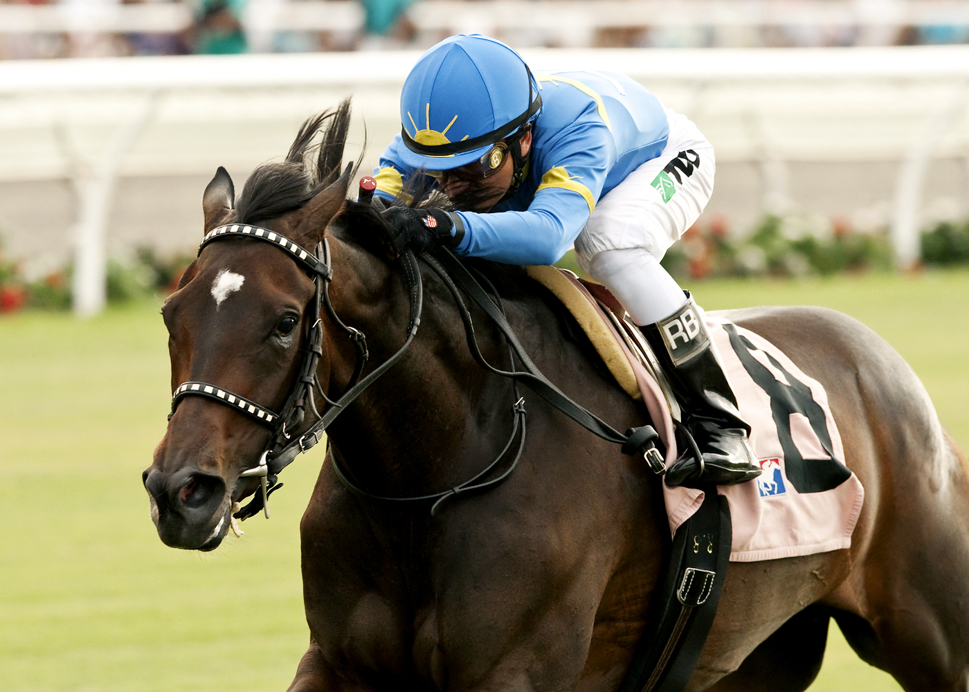 Istanford wins the San Clemente Handicap