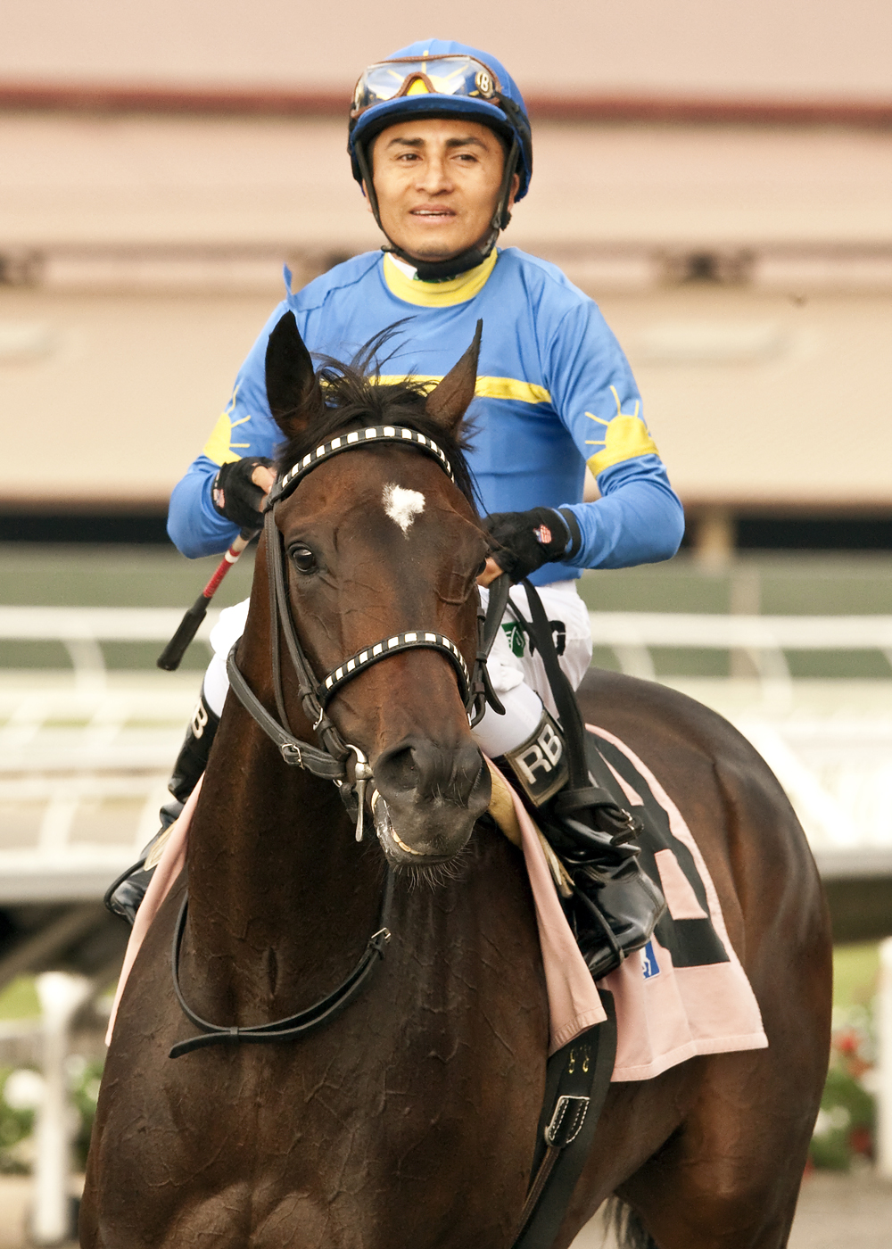 Istanford 7-19-2014
