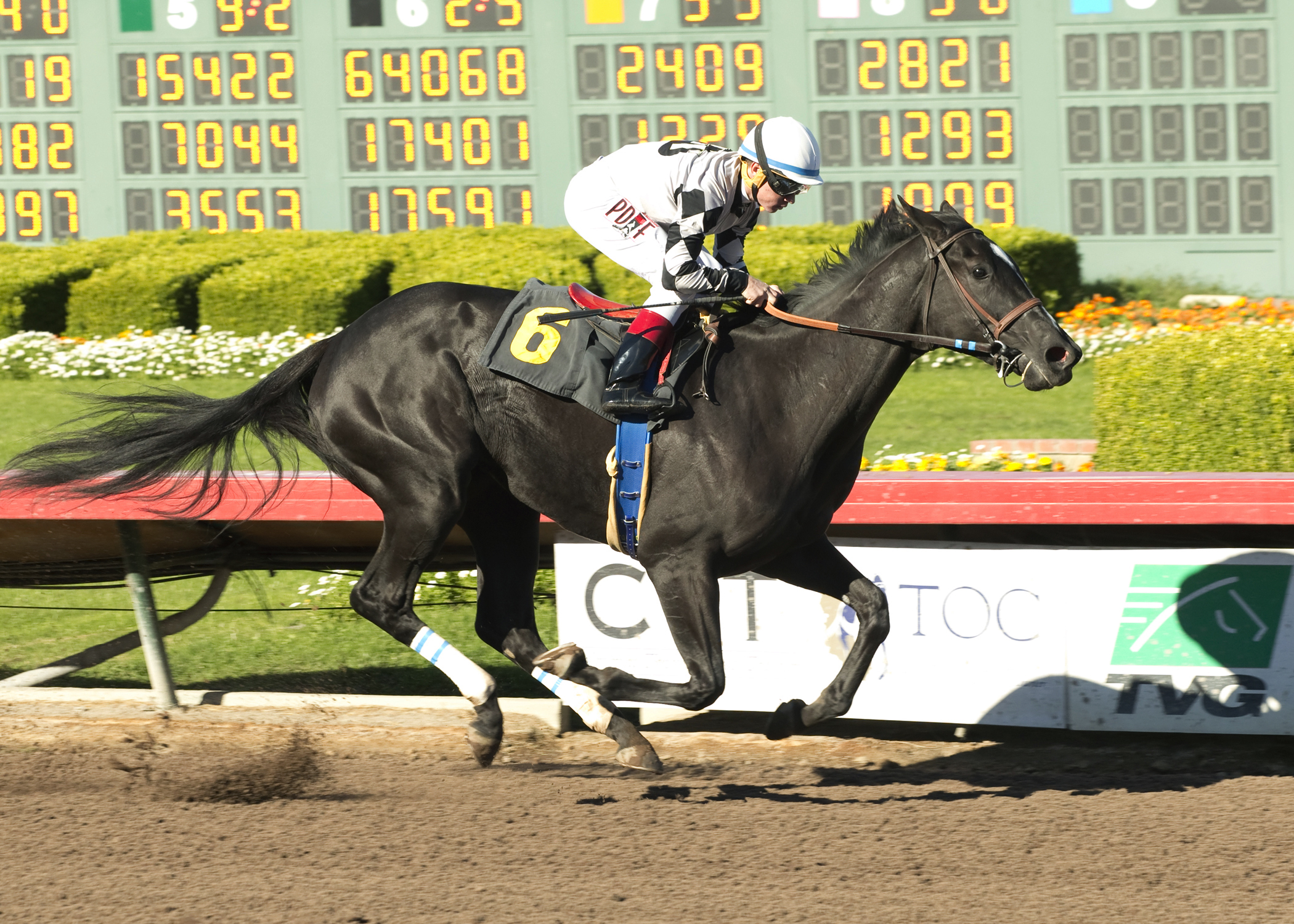 It Tiz Well wins a Dec. 18 maiden race