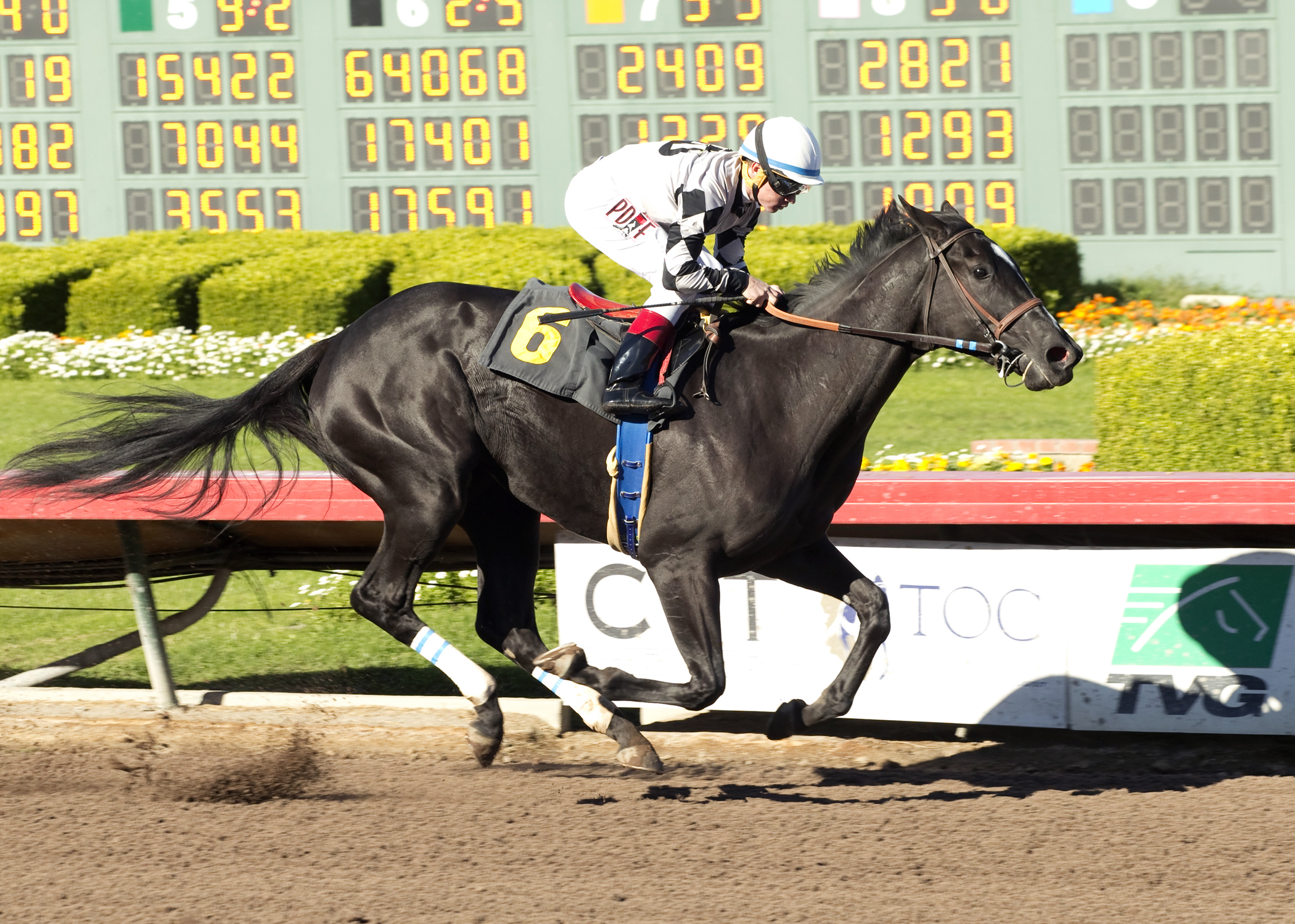 It Tiz Well wins a Dec. 18 maiden race