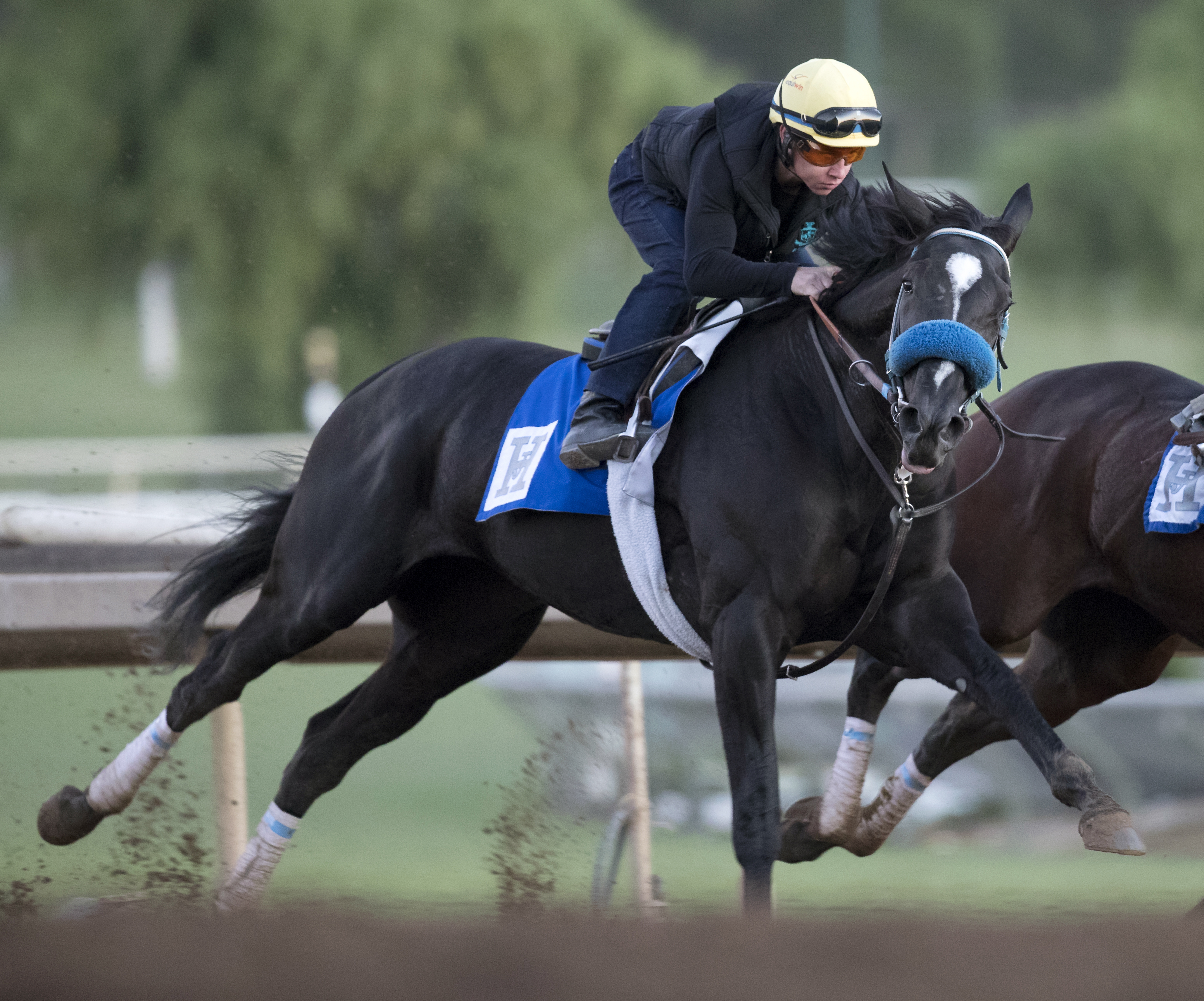 It Tiz Well trains at Santa Anita on Oct. 25