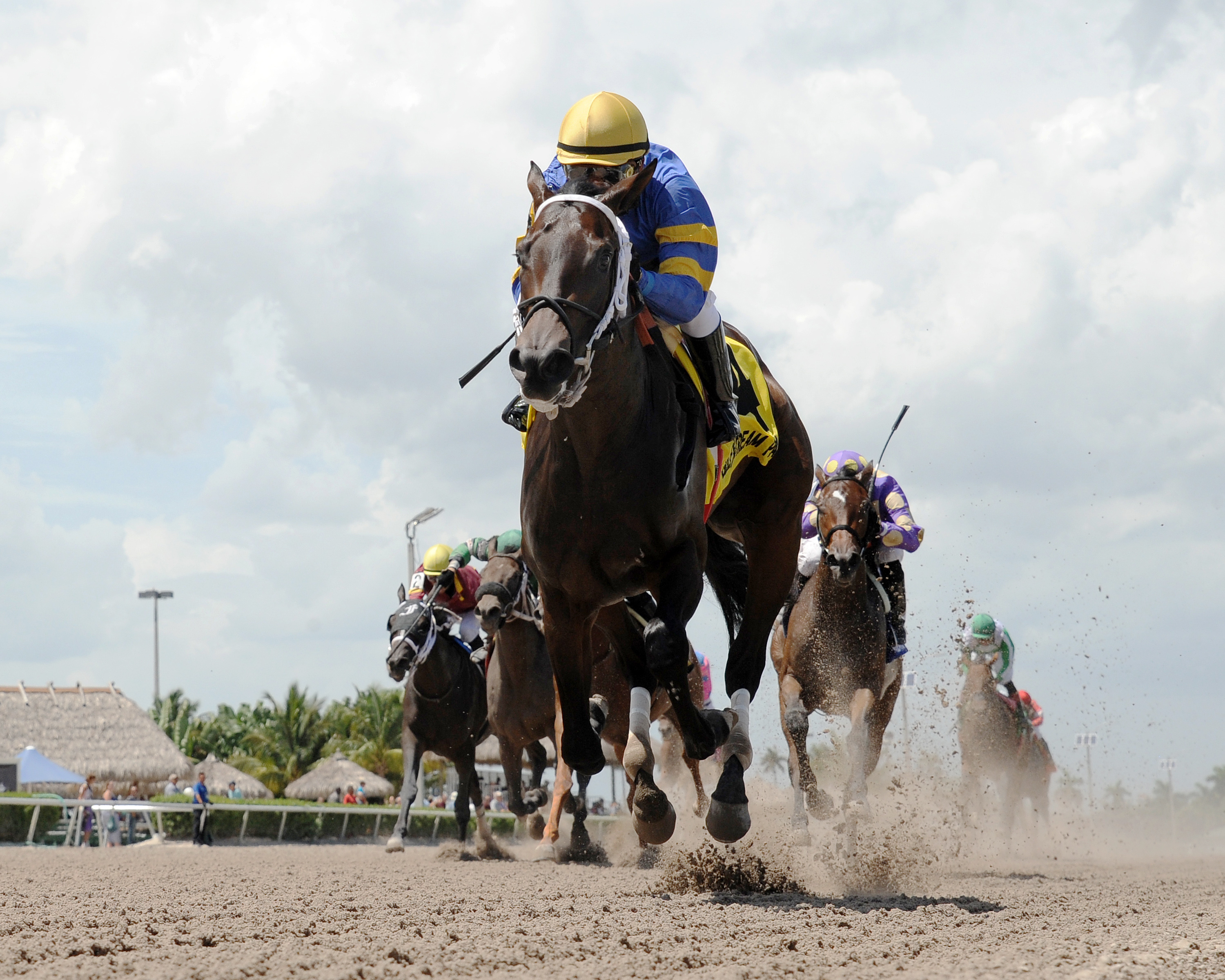 It's High Time wins the Florida Sire Desert Vixen Stakes