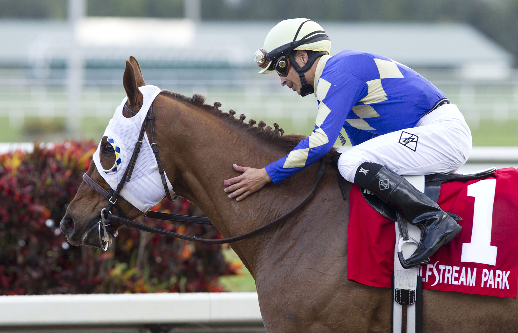 It's Me Mom/Sunshine Millions Filly and Mare Sprint