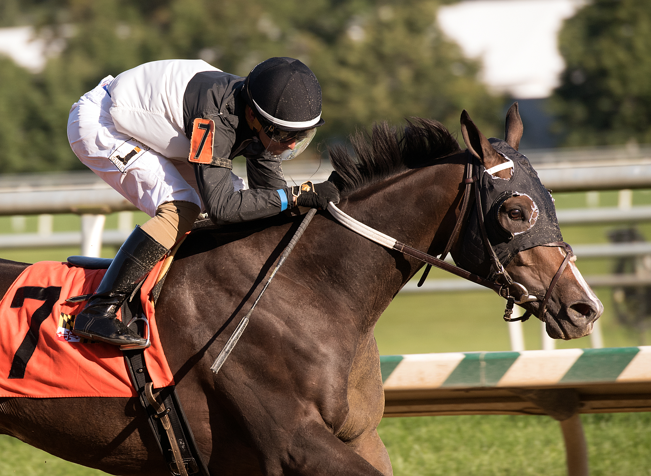 It's the Journey wins the Challedon