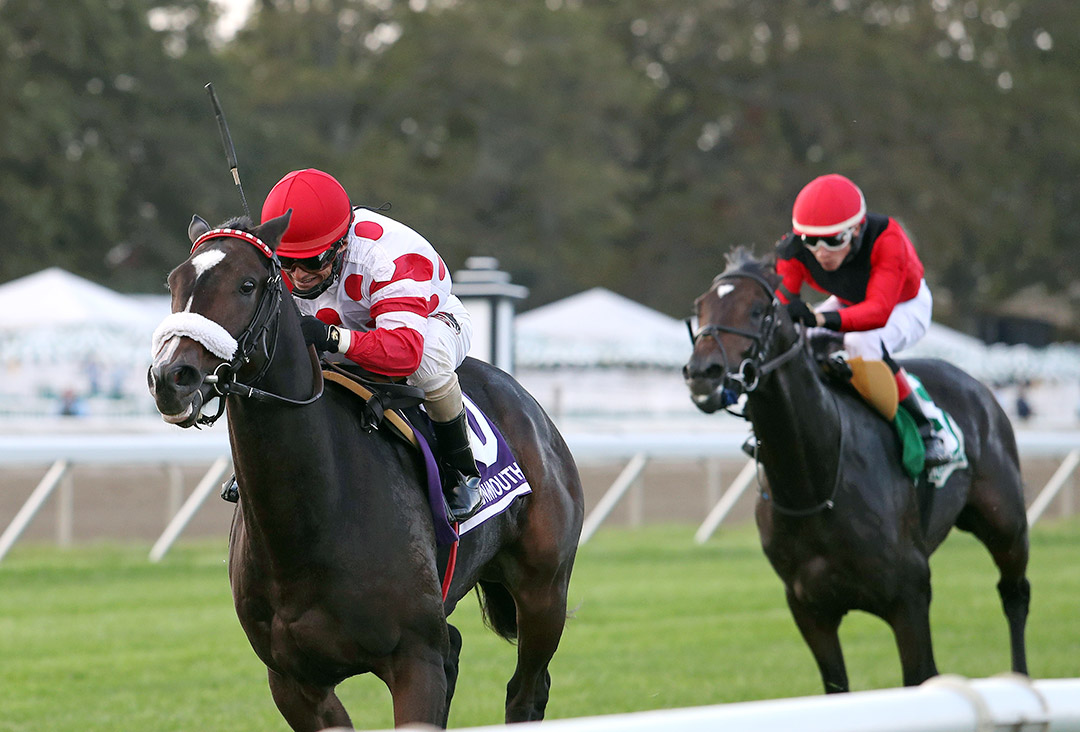It Can Be Done wins the 2020 Now Now Now Stakes at Monmouth Park