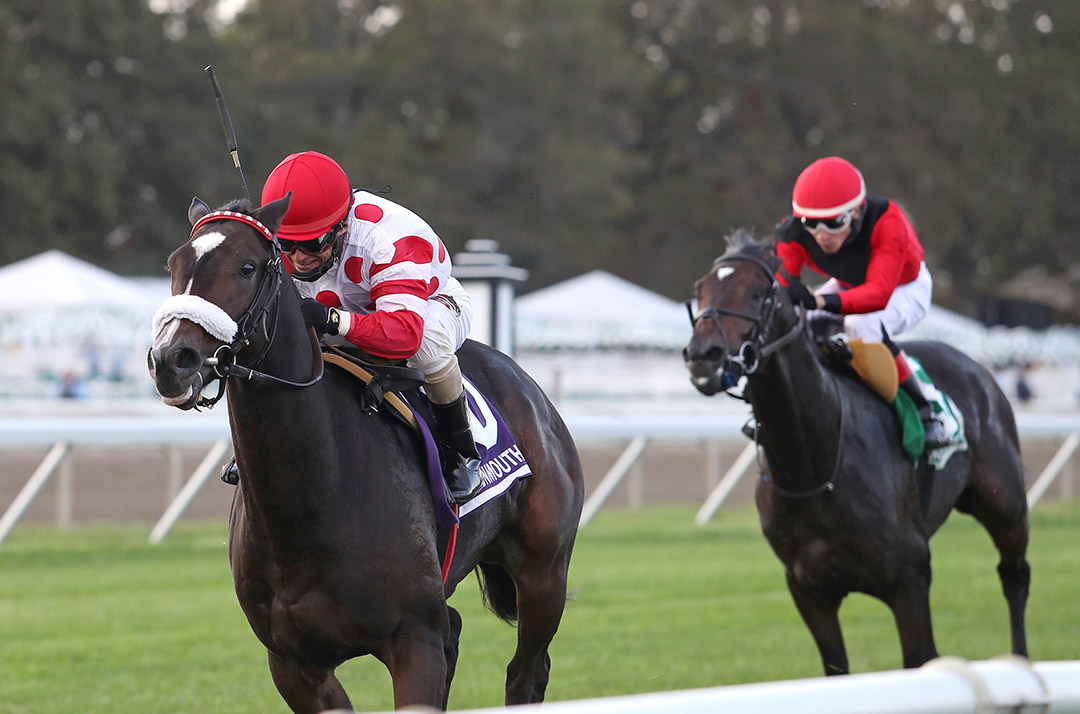 It Can Be Done wins the 2020 Now Now Now Stakes at Monmouth Park