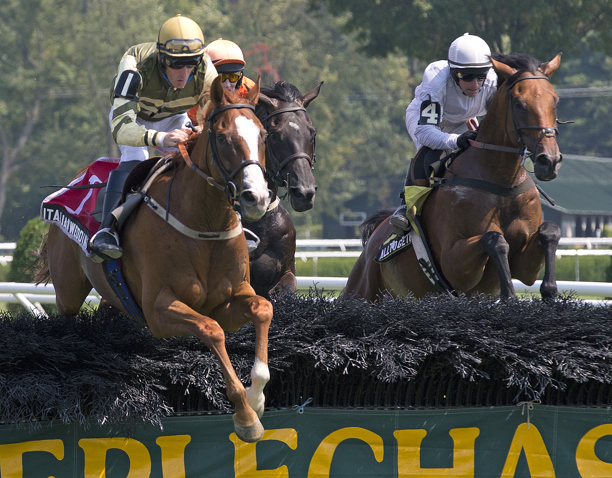 Italian Wedding wins the NY Turf Writers