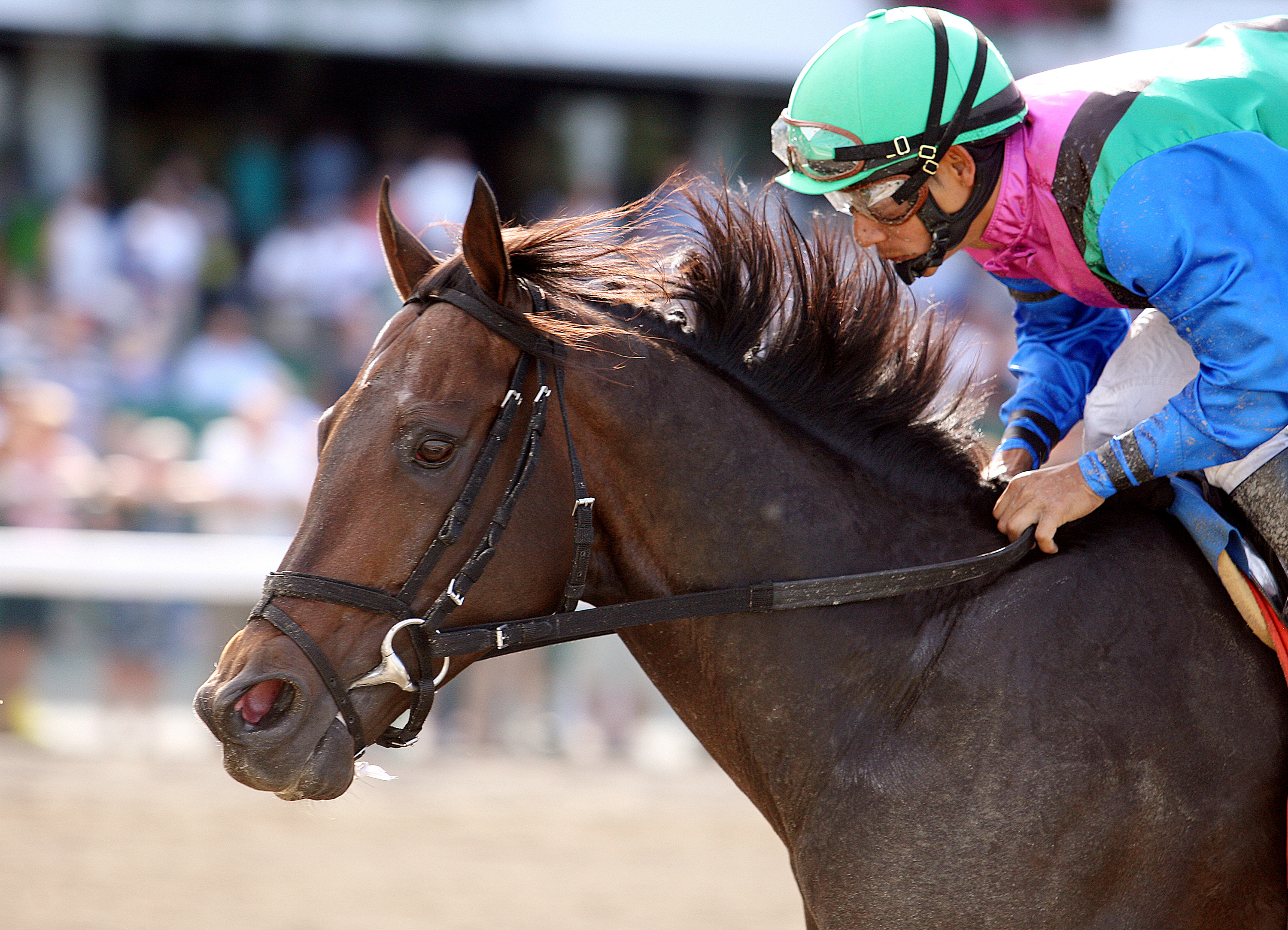 Itsmyluckyday wins the Salvator Mile