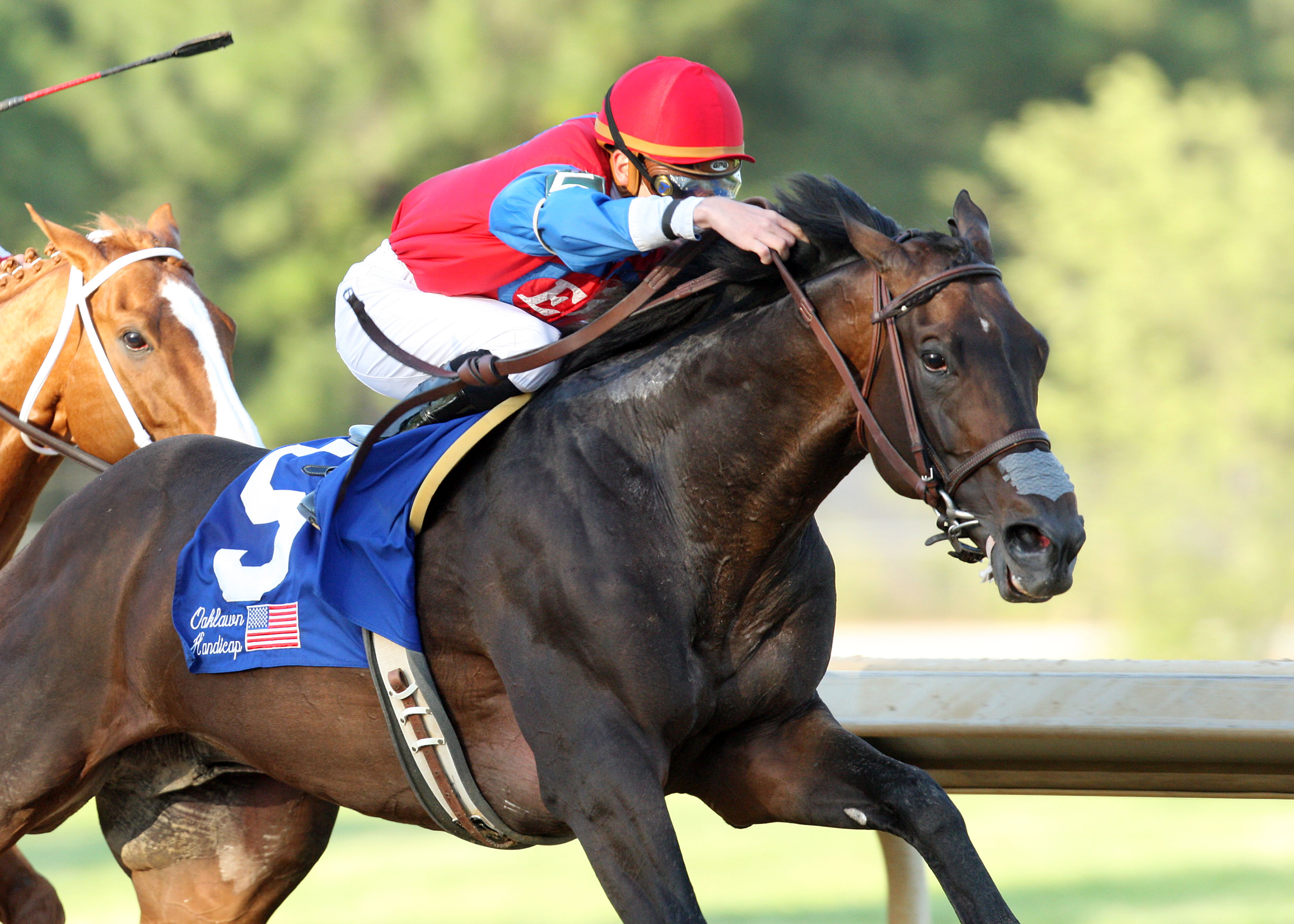 It's a Bird - Oaklawn Handicap 2009