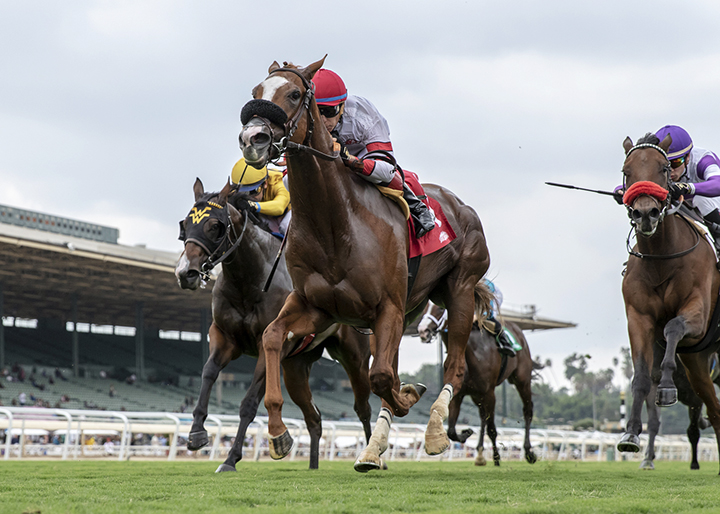 Its Gonna Hurt wins the 2018 Speakeasy Stakes