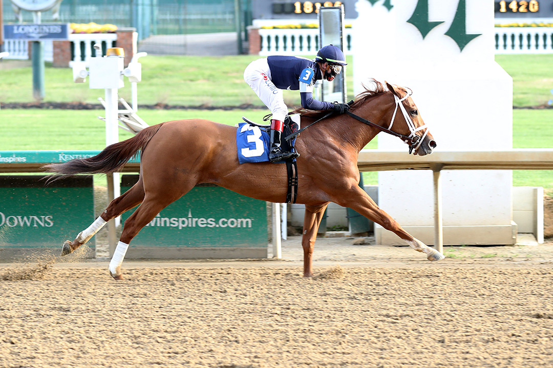 Its Cold in Dehere wins a Nov. 24 allowance at Churchill